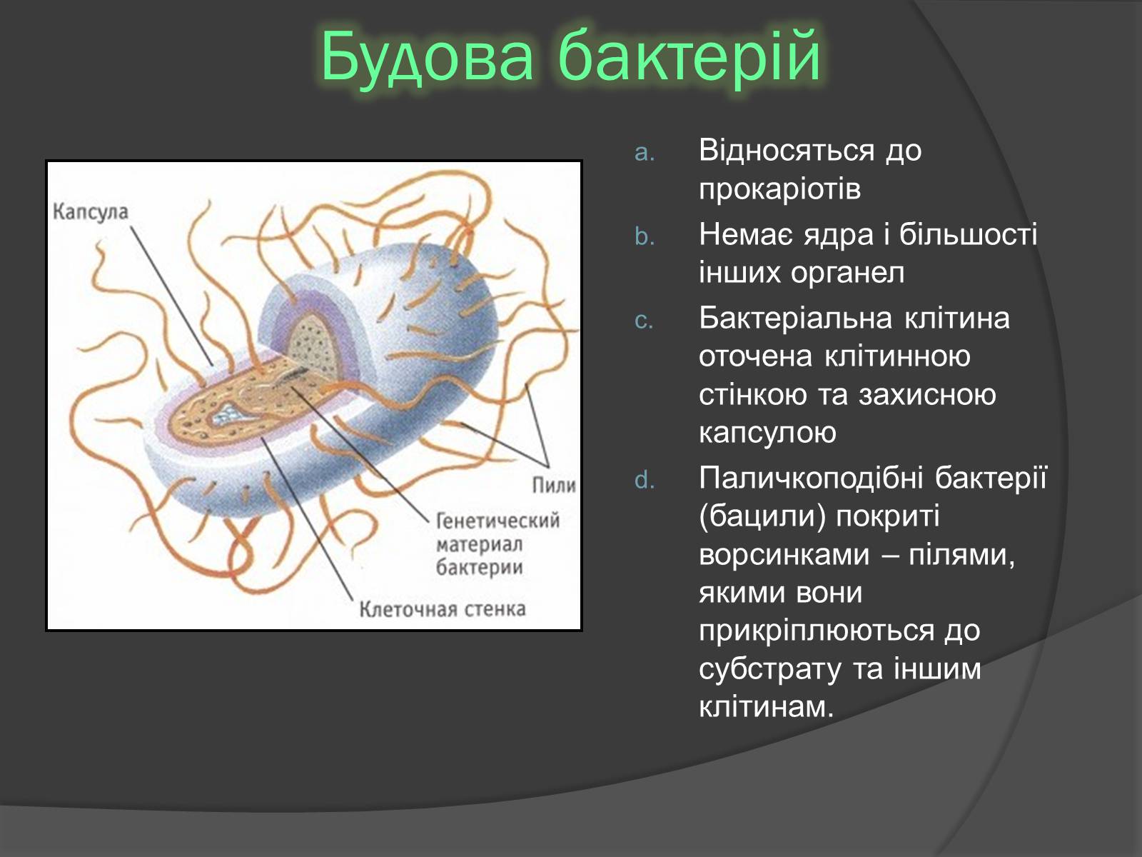 Презентація на тему «Віруси» (варіант 20) - Слайд #24 Презентація на тему «Віруси» (варіант 20) - Слайд #24