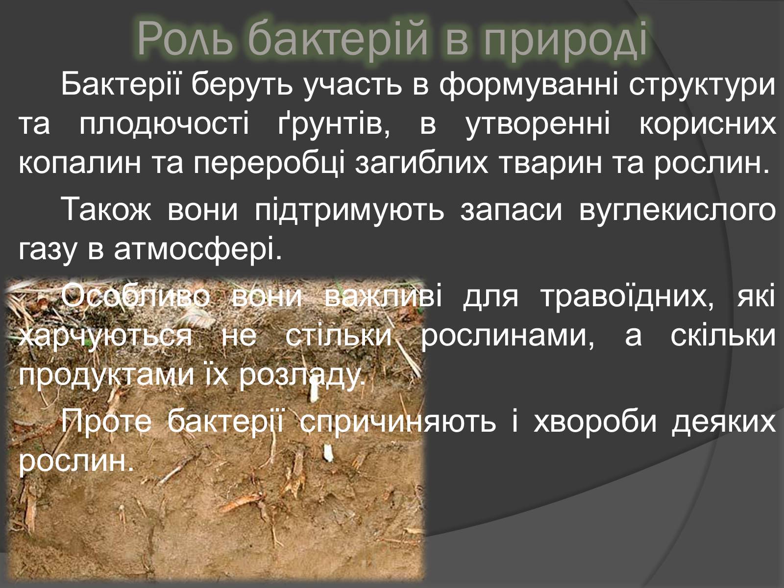 Презентація на тему «Віруси» (варіант 20) - Слайд #28 Презентація на тему «Віруси» (варіант 20) - Слайд #28