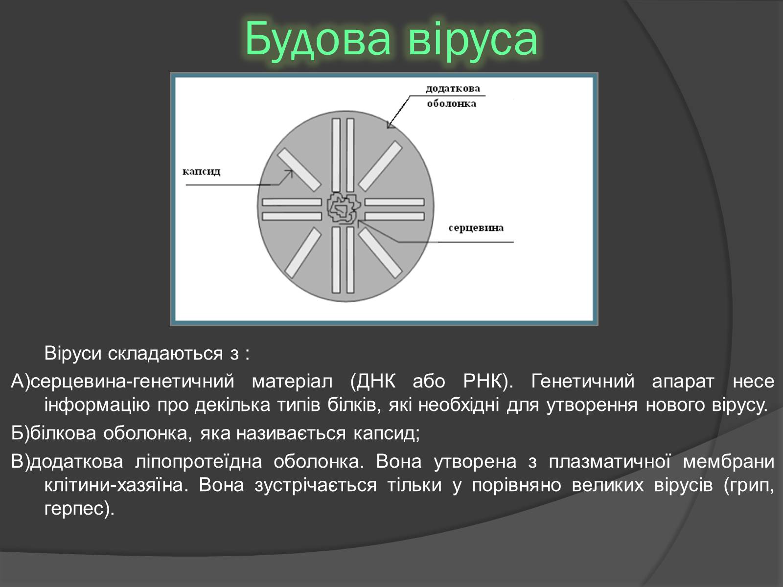 Презентація на тему «Віруси» (варіант 20) - Слайд #4 Презентація на тему «Віруси» (варіант 20) - Слайд #4