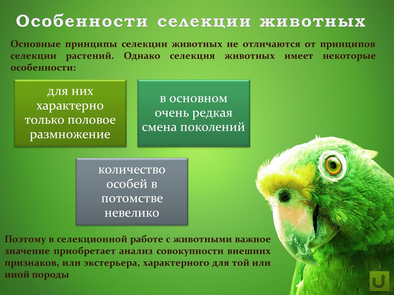 Презентація на тему «Селекция животных» (варіант 1) - Слайд #3 Презентація на тему «Селекция животных» (варіант 1) - Слайд #3