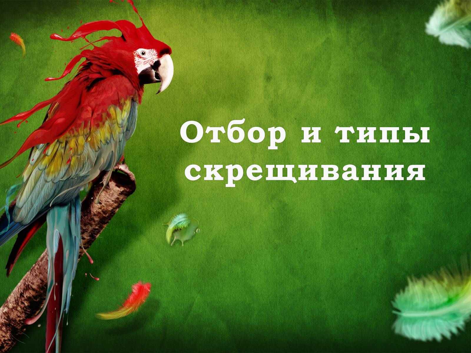 Презентація на тему «Селекция животных» (варіант 1) - Слайд #9 Презентація на тему «Селекция животных» (варіант 1) - Слайд #9