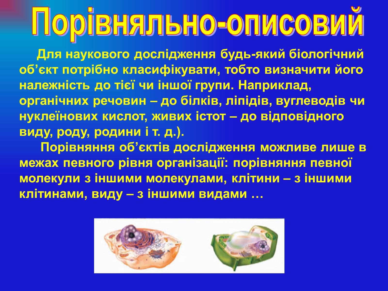 Презентація на тему «Основи загальної біології» - Слайд #11 Презентація на тему «Основи загальної біології» - Слайд #11
