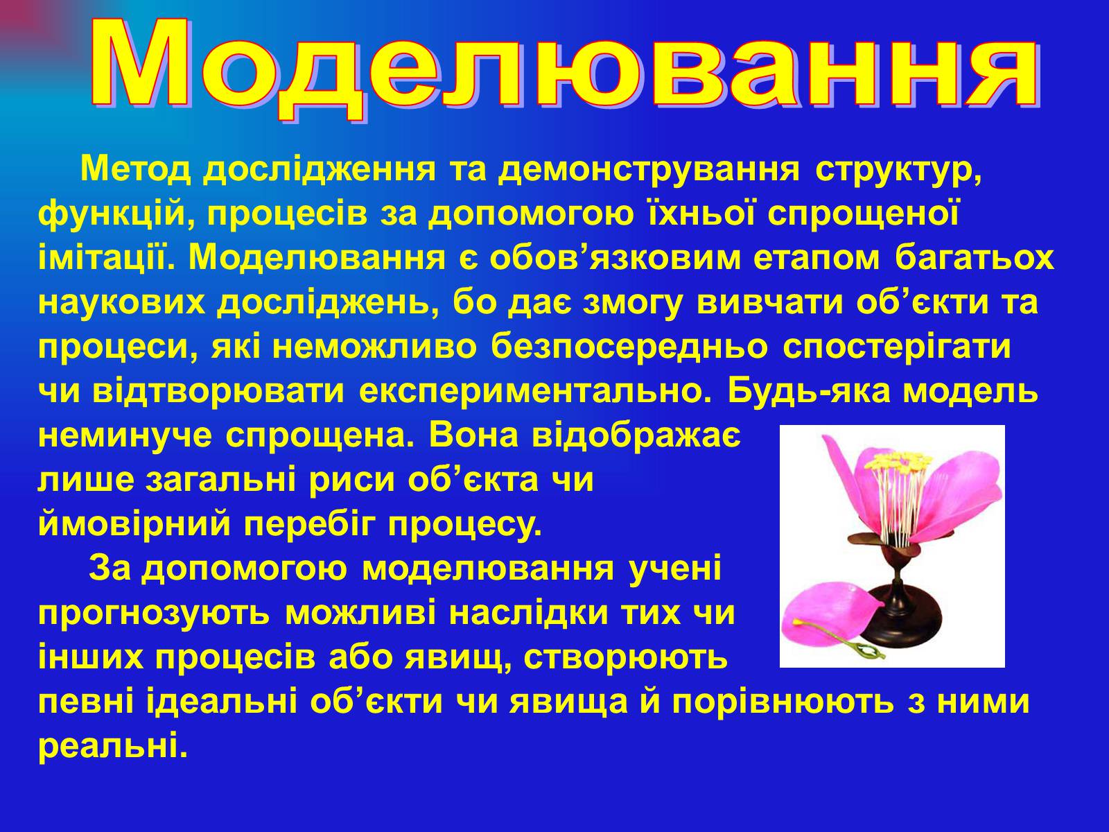 Презентація на тему «Основи загальної біології» - Слайд #14 Презентація на тему «Основи загальної біології» - Слайд #14