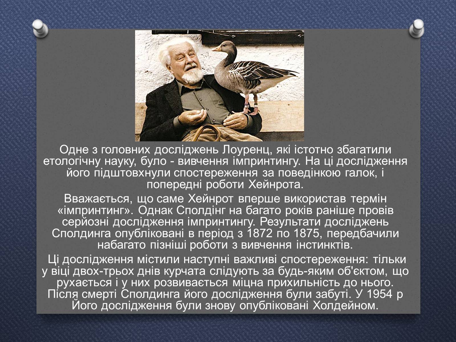 Презентація на тему «Імпринтинг у тварин» - Слайд #3 Презентація на тему «Імпринтинг у тварин» - Слайд #3