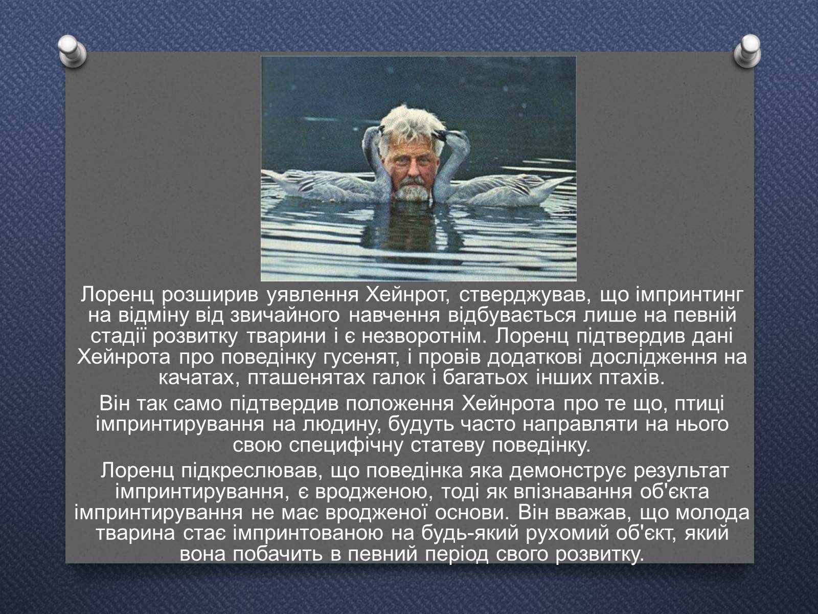 Презентація на тему «Імпринтинг у тварин» - Слайд #5 Презентація на тему «Імпринтинг у тварин» - Слайд #5