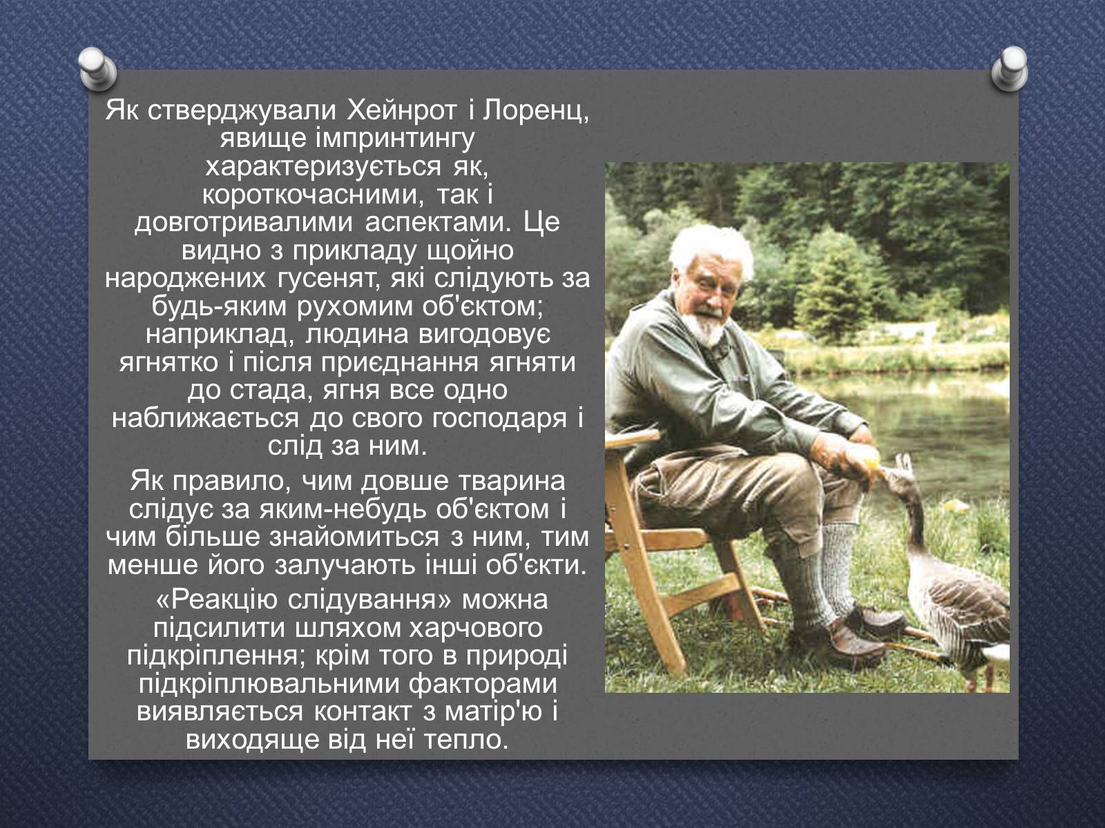 Презентація на тему «Імпринтинг у тварин» - Слайд #6 Презентація на тему «Імпринтинг у тварин» - Слайд #6