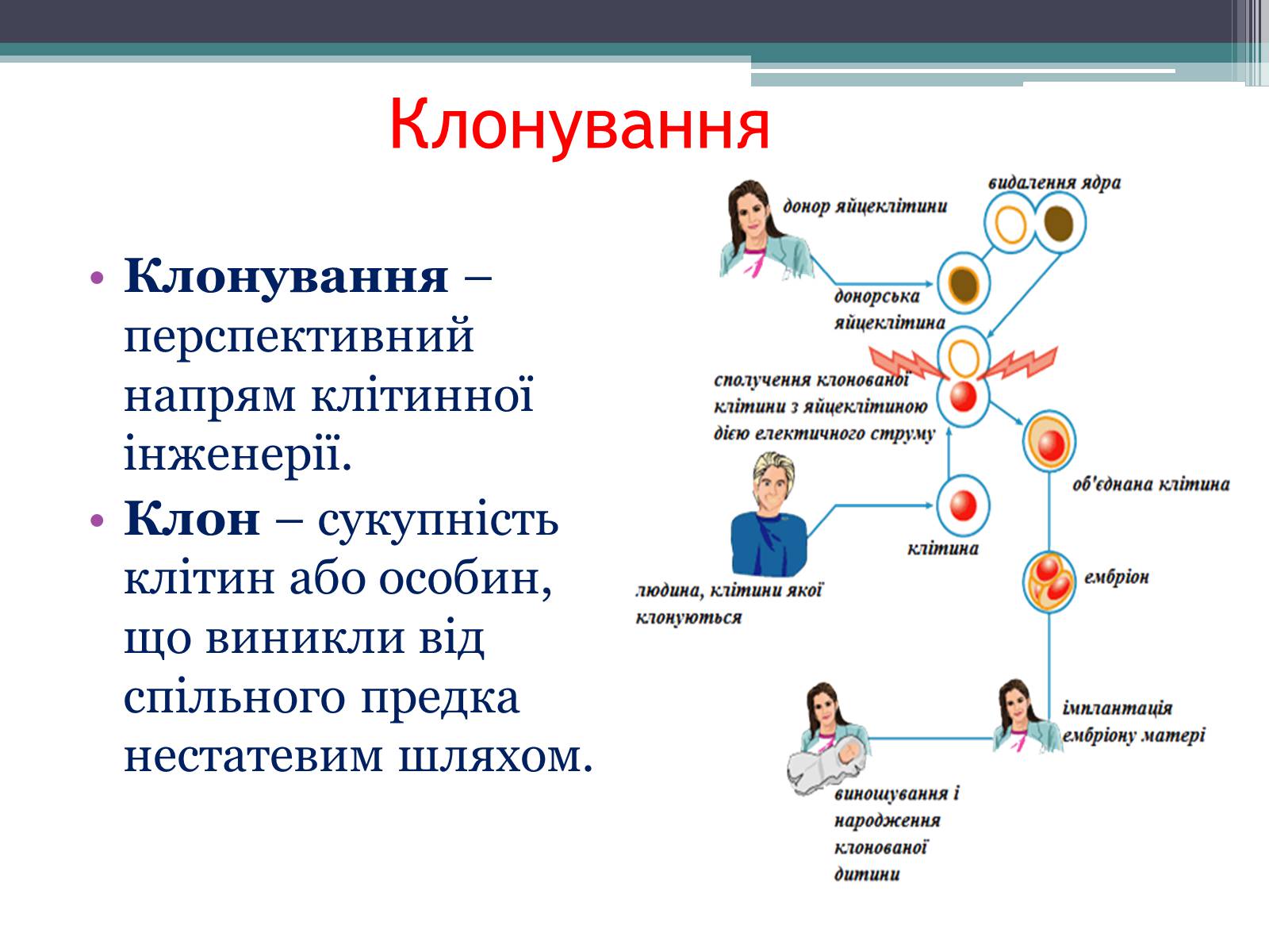 Презентація на тему «Основні напрямки сучасної біотехнології» (варіант 3) - Слайд #11 Презентація на тему «Основні напрямки сучасної біотехнології» (варіант 3) - Слайд #11
