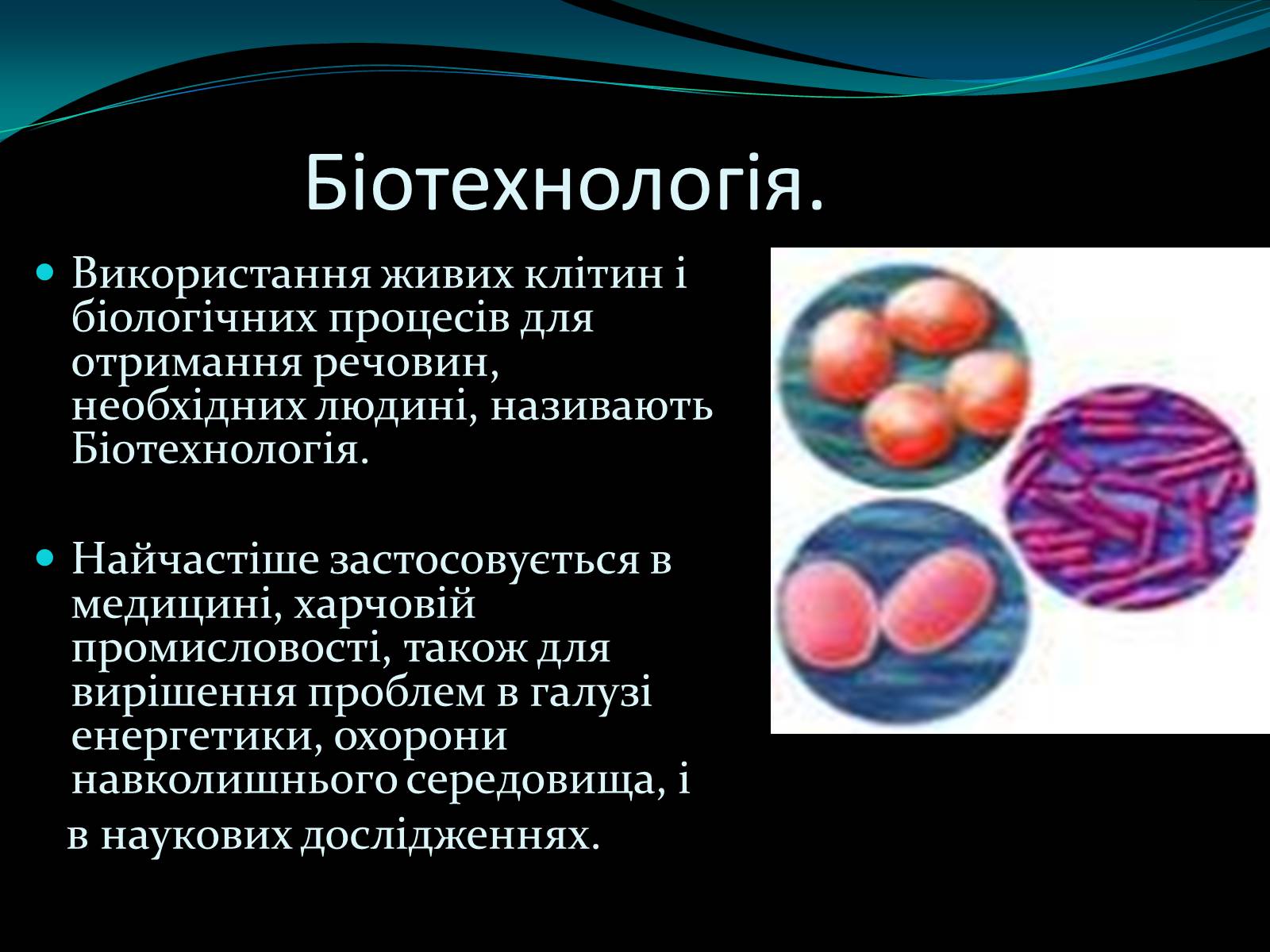Презентація на тему «Мікроорганізми» - Слайд #10 Презентація на тему «Мікроорганізми» - Слайд #10