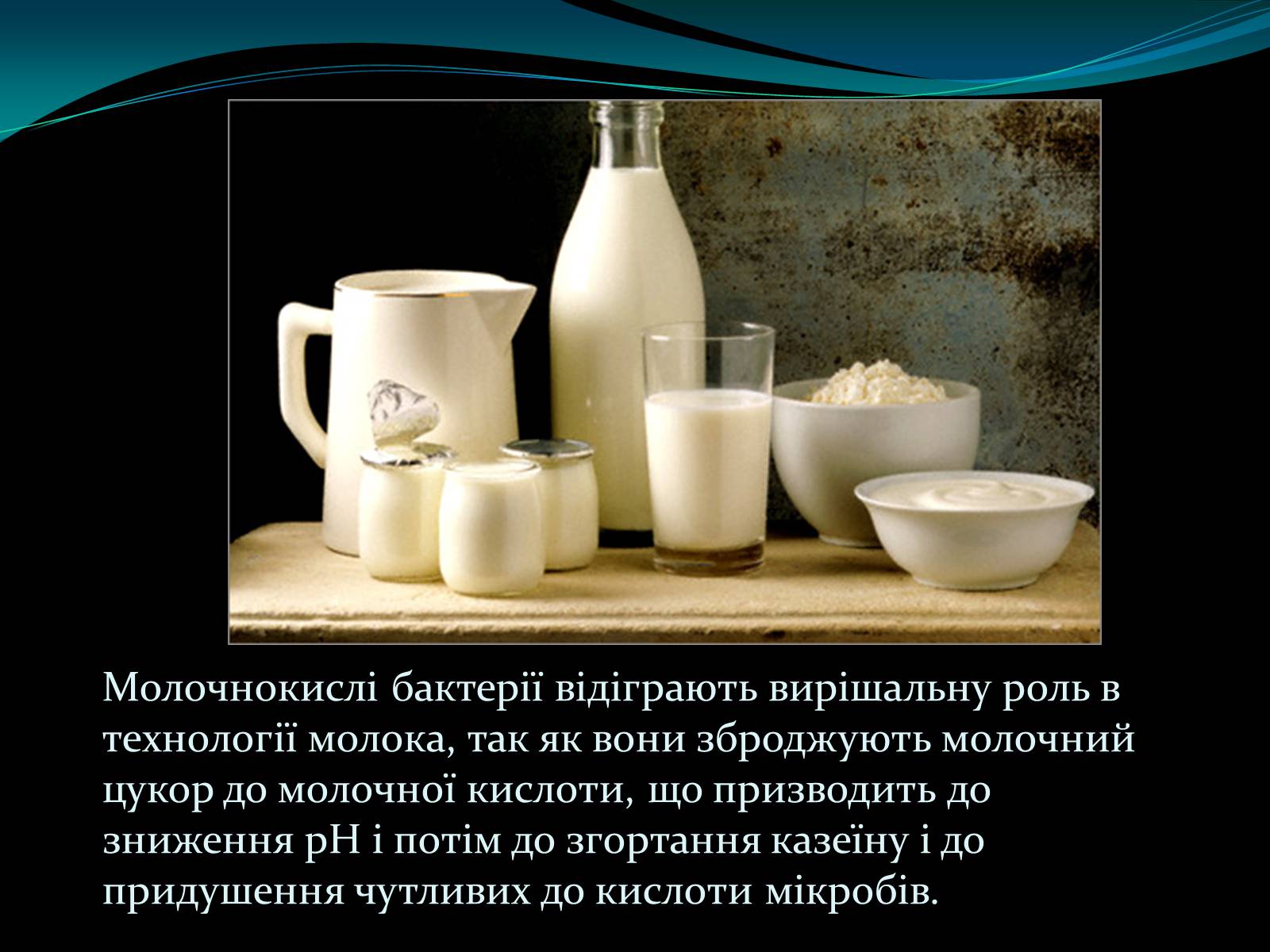 Презентація на тему «Мікроорганізми» - Слайд #13 Презентація на тему «Мікроорганізми» - Слайд #13