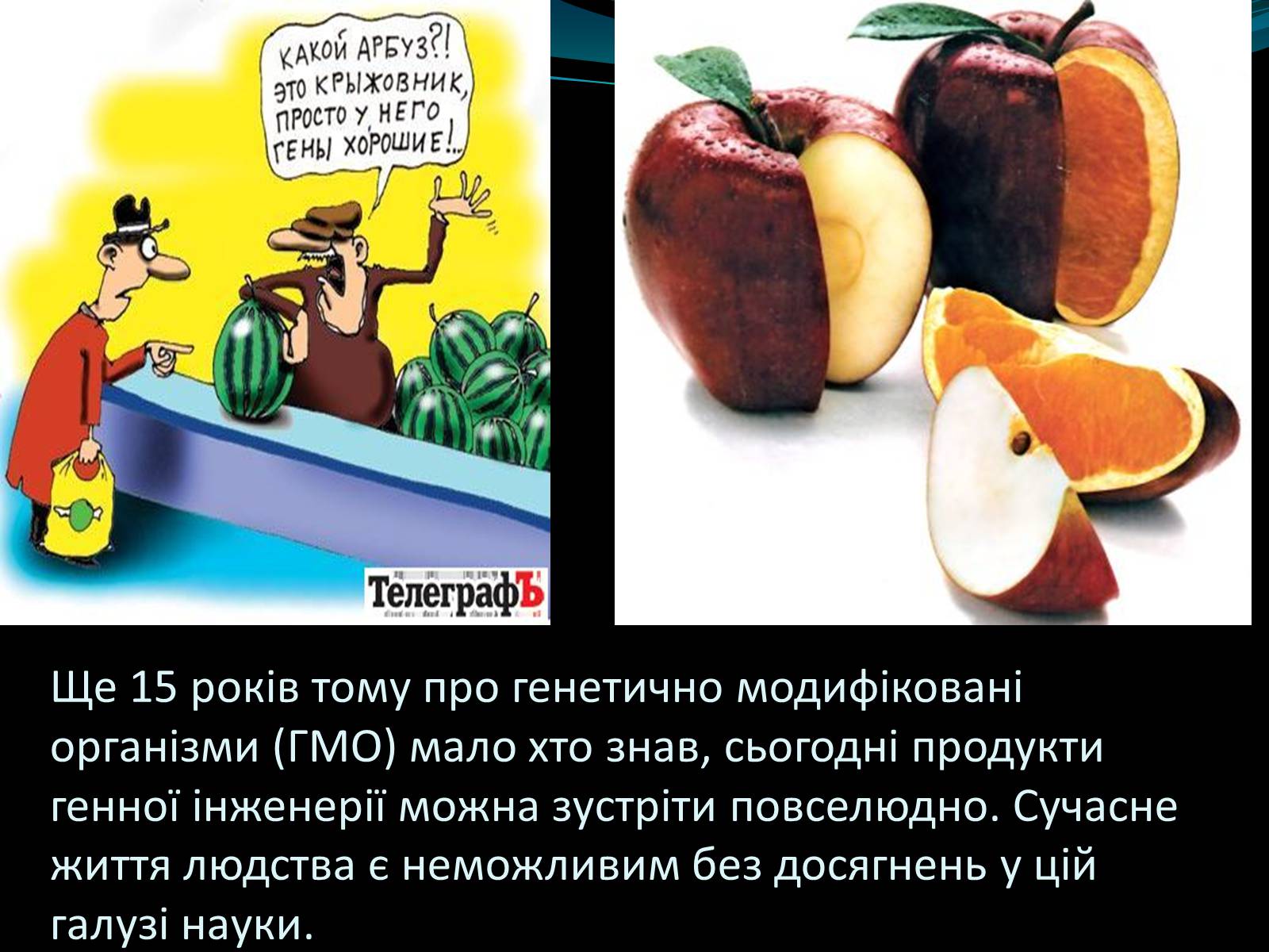 Презентація на тему «Мікроорганізми» - Слайд #14 Презентація на тему «Мікроорганізми» - Слайд #14