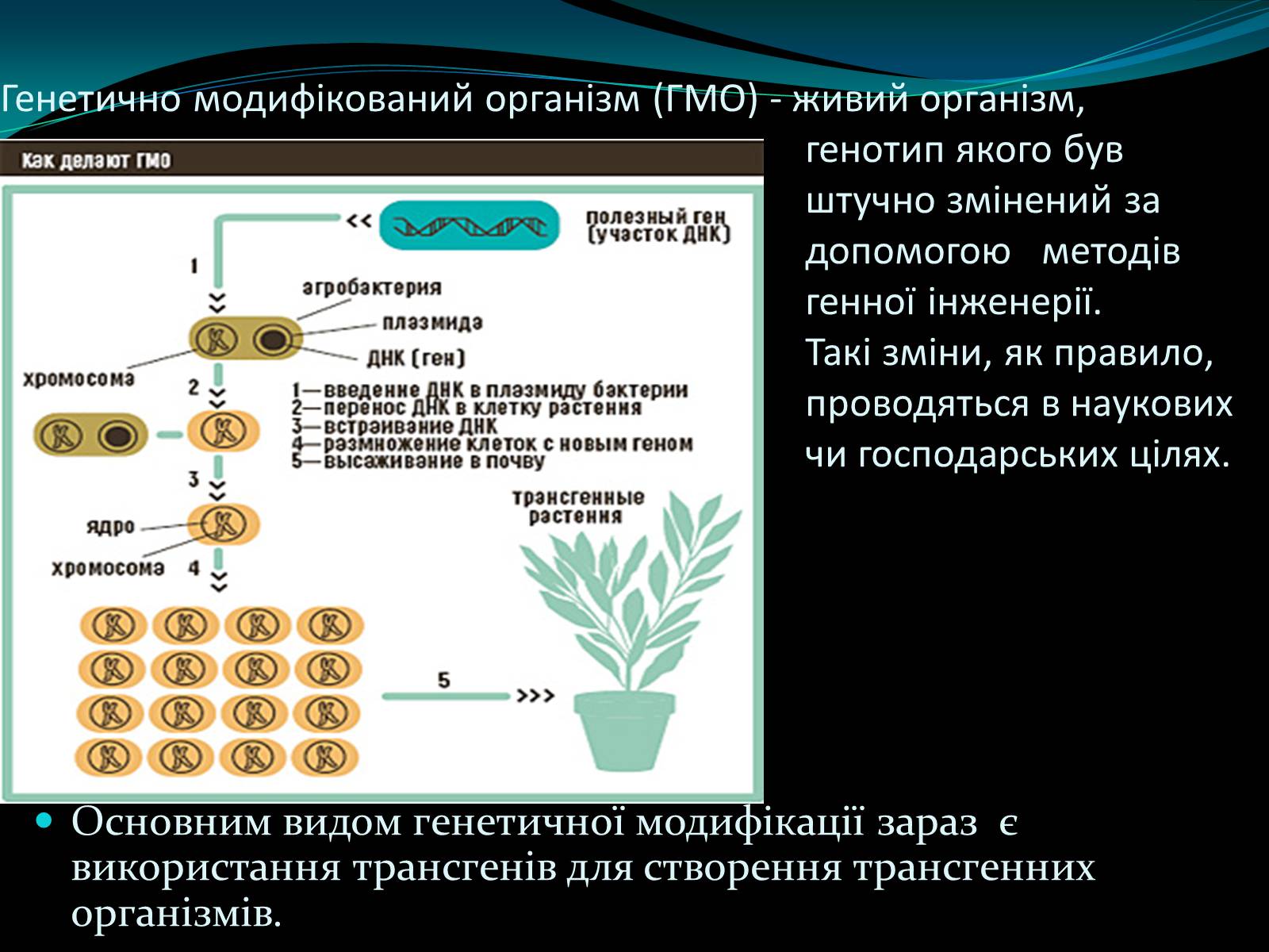 Презентація на тему «Мікроорганізми» - Слайд #15 Презентація на тему «Мікроорганізми» - Слайд #15