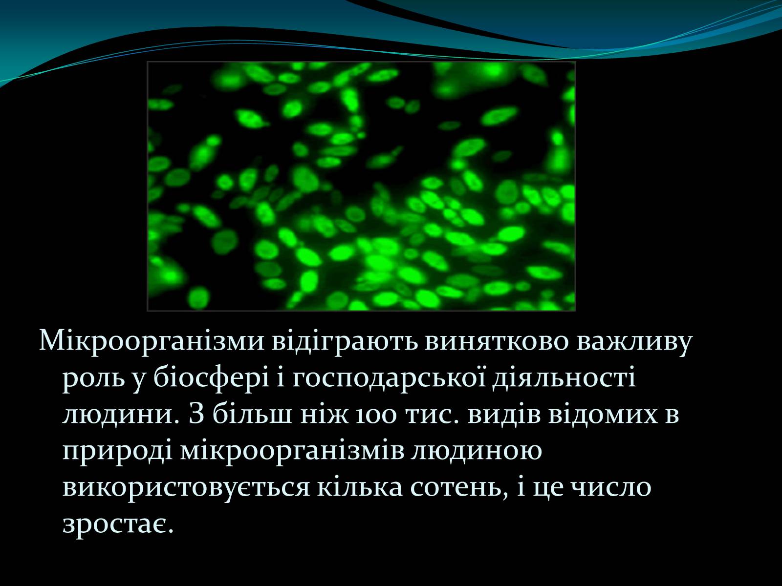 Презентація на тему «Мікроорганізми» - Слайд #2 Презентація на тему «Мікроорганізми» - Слайд #2