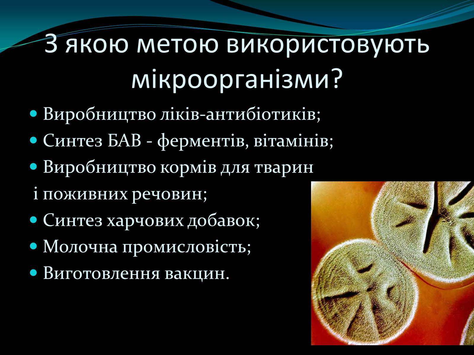 Презентація на тему «Мікроорганізми» - Слайд #3 Презентація на тему «Мікроорганізми» - Слайд #3