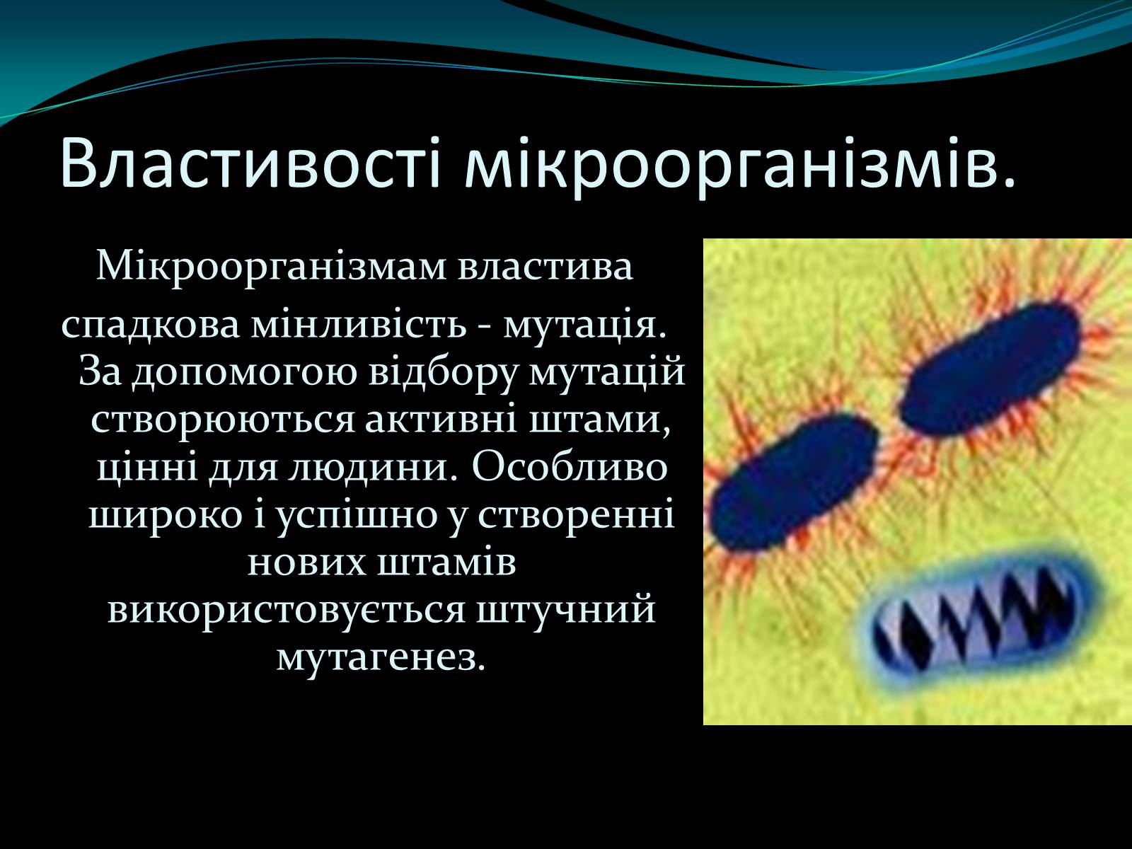 Презентація на тему «Мікроорганізми» - Слайд #4 Презентація на тему «Мікроорганізми» - Слайд #4