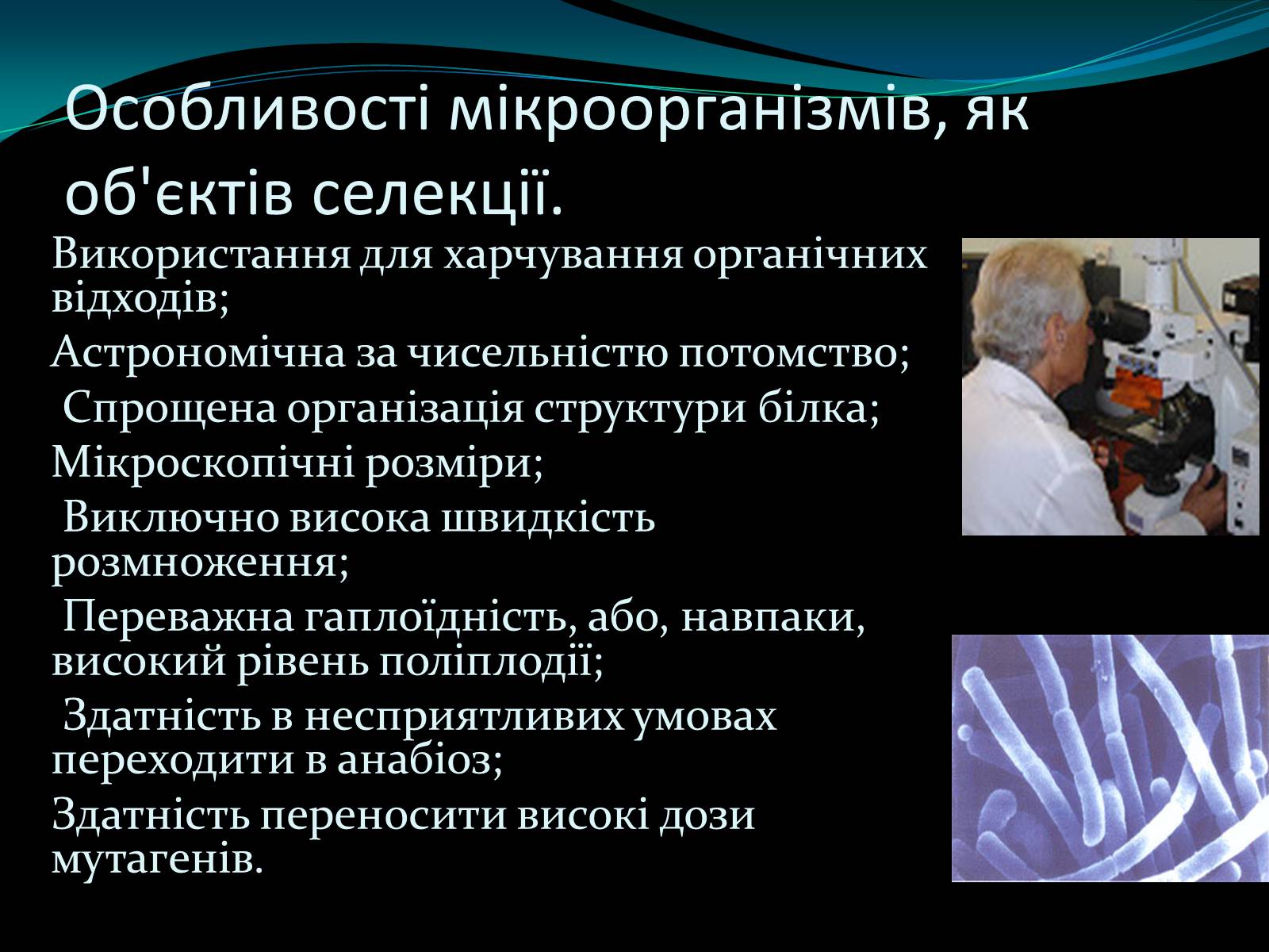 Презентація на тему «Мікроорганізми» - Слайд #5 Презентація на тему «Мікроорганізми» - Слайд #5