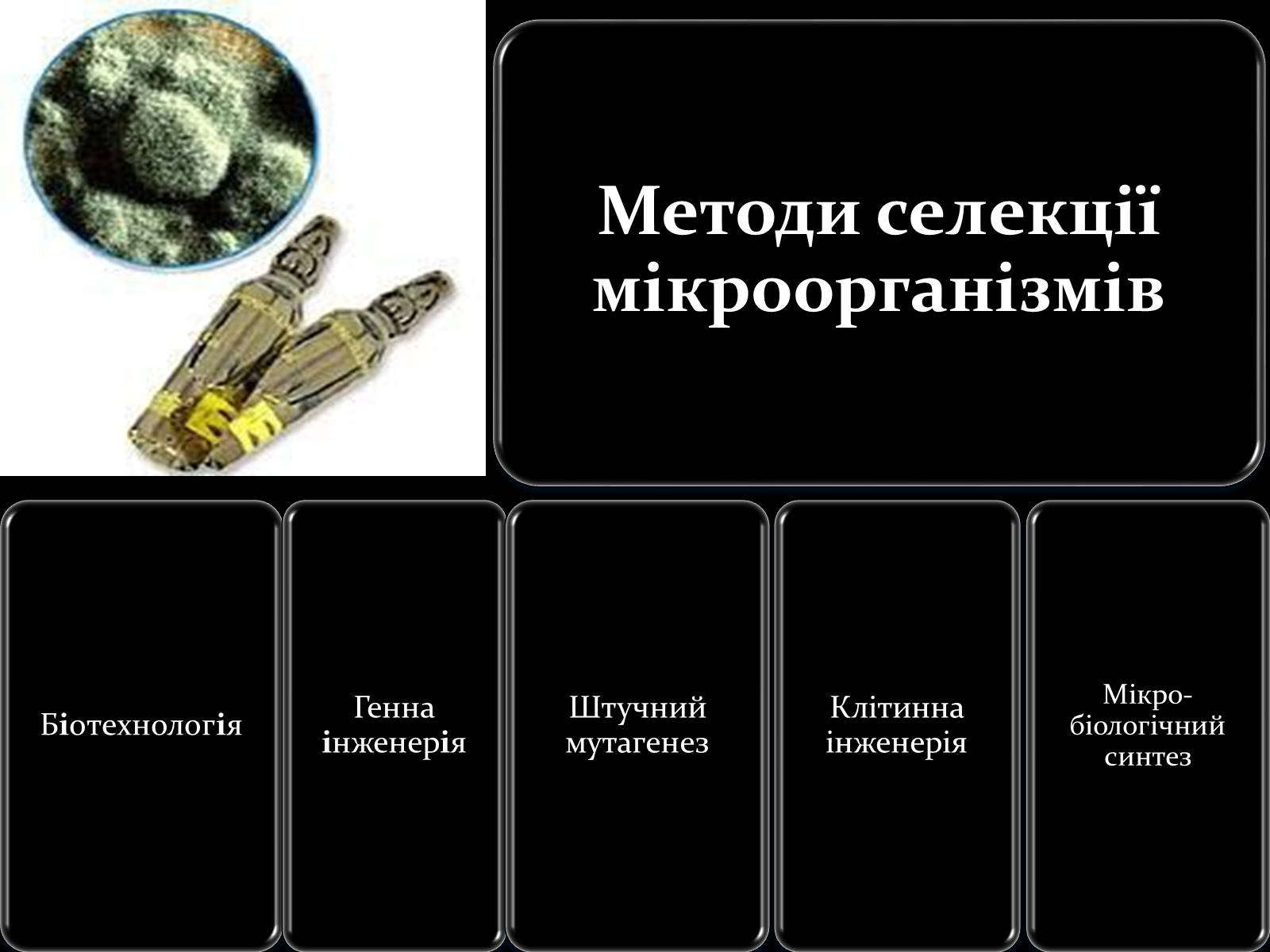Презентація на тему «Мікроорганізми» - Слайд #6 Презентація на тему «Мікроорганізми» - Слайд #6