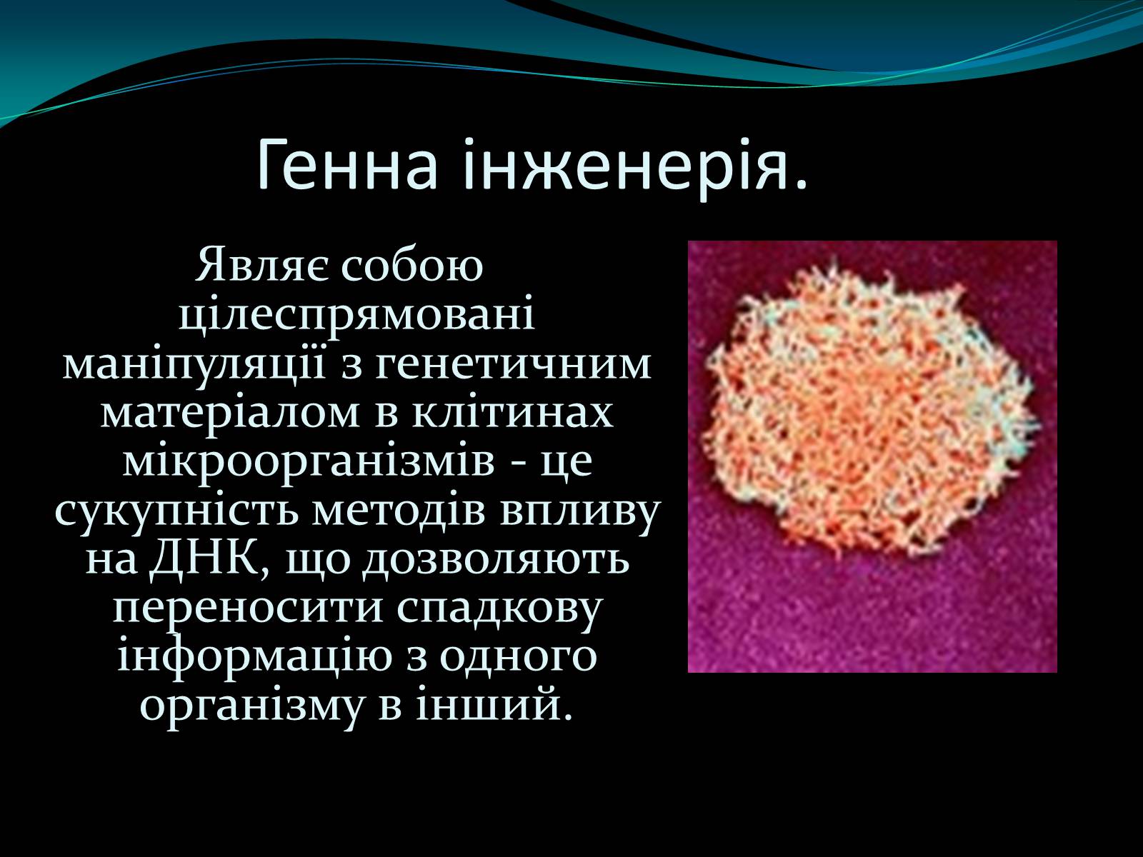 Презентація на тему «Мікроорганізми» - Слайд #7 Презентація на тему «Мікроорганізми» - Слайд #7