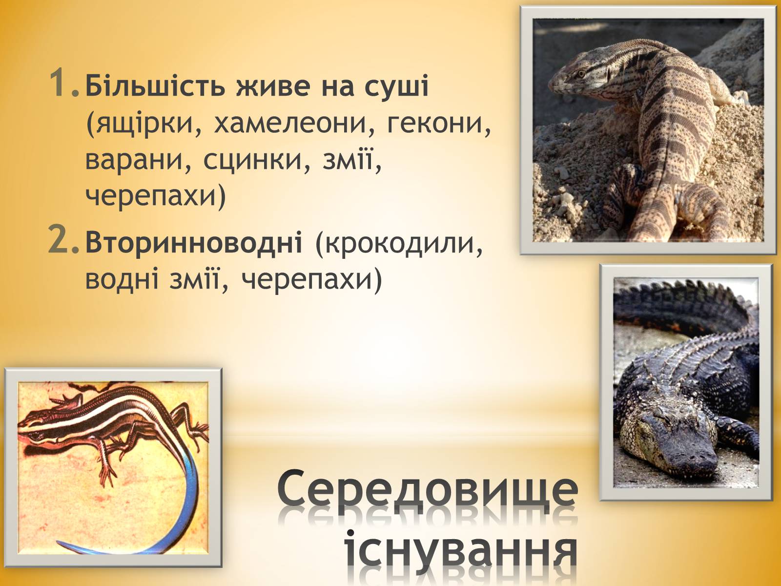 Презентація на тему «Клас Плазуни» - Слайд #8 Презентація на тему «Клас Плазуни» - Слайд #8