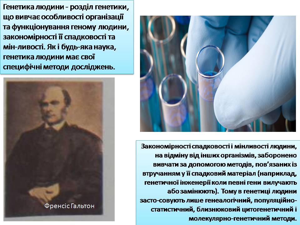 Презентація на тему «Генетика людини» (варіант 6) - Слайд #2 Презентація на тему «Генетика людини» (варіант 6) - Слайд #2