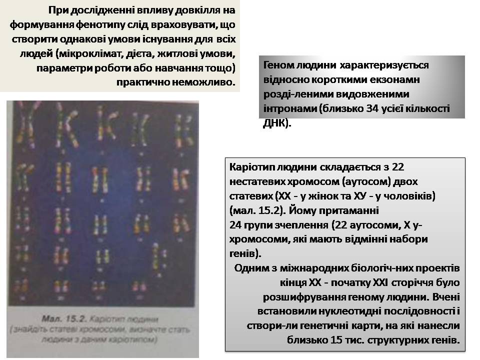 Презентація на тему «Генетика людини» (варіант 6) - Слайд #3 Презентація на тему «Генетика людини» (варіант 6) - Слайд #3