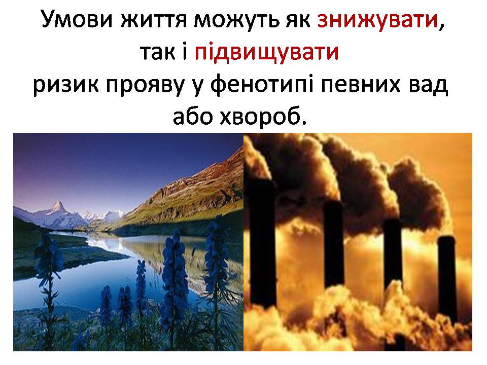 Презентація на тему «Генетика людини» (варіант 6) - Слайд #7 Презентація на тему «Генетика людини» (варіант 6) - Слайд #7