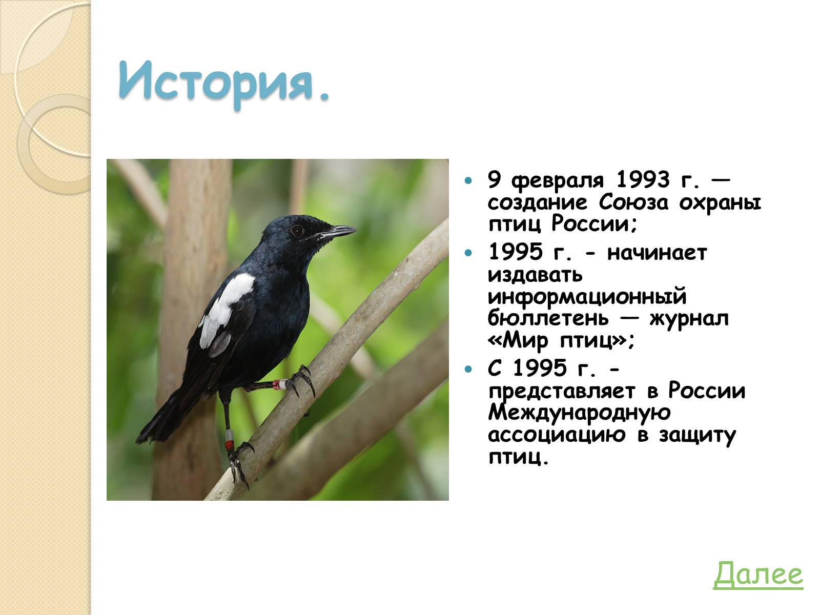 Презентація на тему «Охрана птиц» - Слайд #5 Презентація на тему «Охрана птиц» - Слайд #5