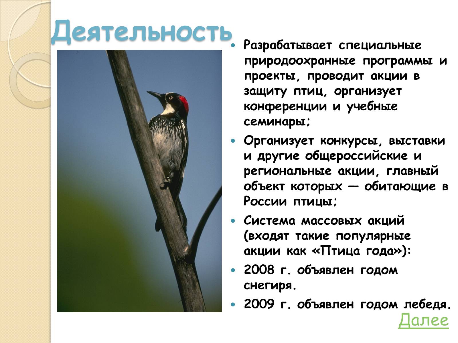 Презентація на тему «Охрана птиц» - Слайд #6 Презентація на тему «Охрана птиц» - Слайд #6