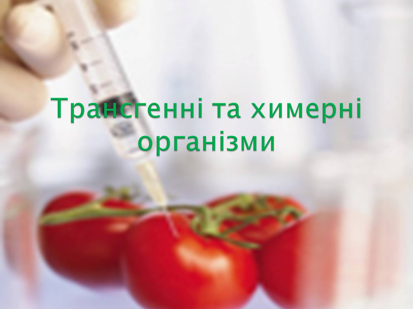 Презентація на тему «Трансгенні та химерні організми» (варіант 2) - Слайд #1 Презентація на тему «Трансгенні та химерні організми» (варіант 2) - Слайд #1