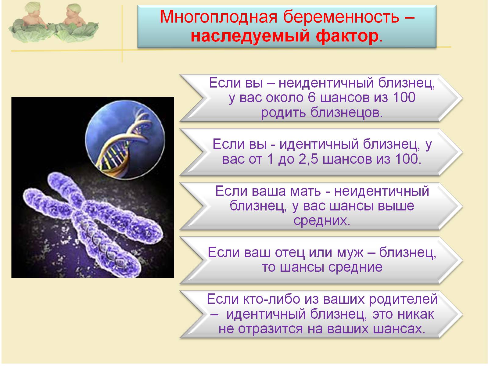 Презентація на тему «Близнецы» - Слайд #9 Презентація на тему «Близнецы» - Слайд #9