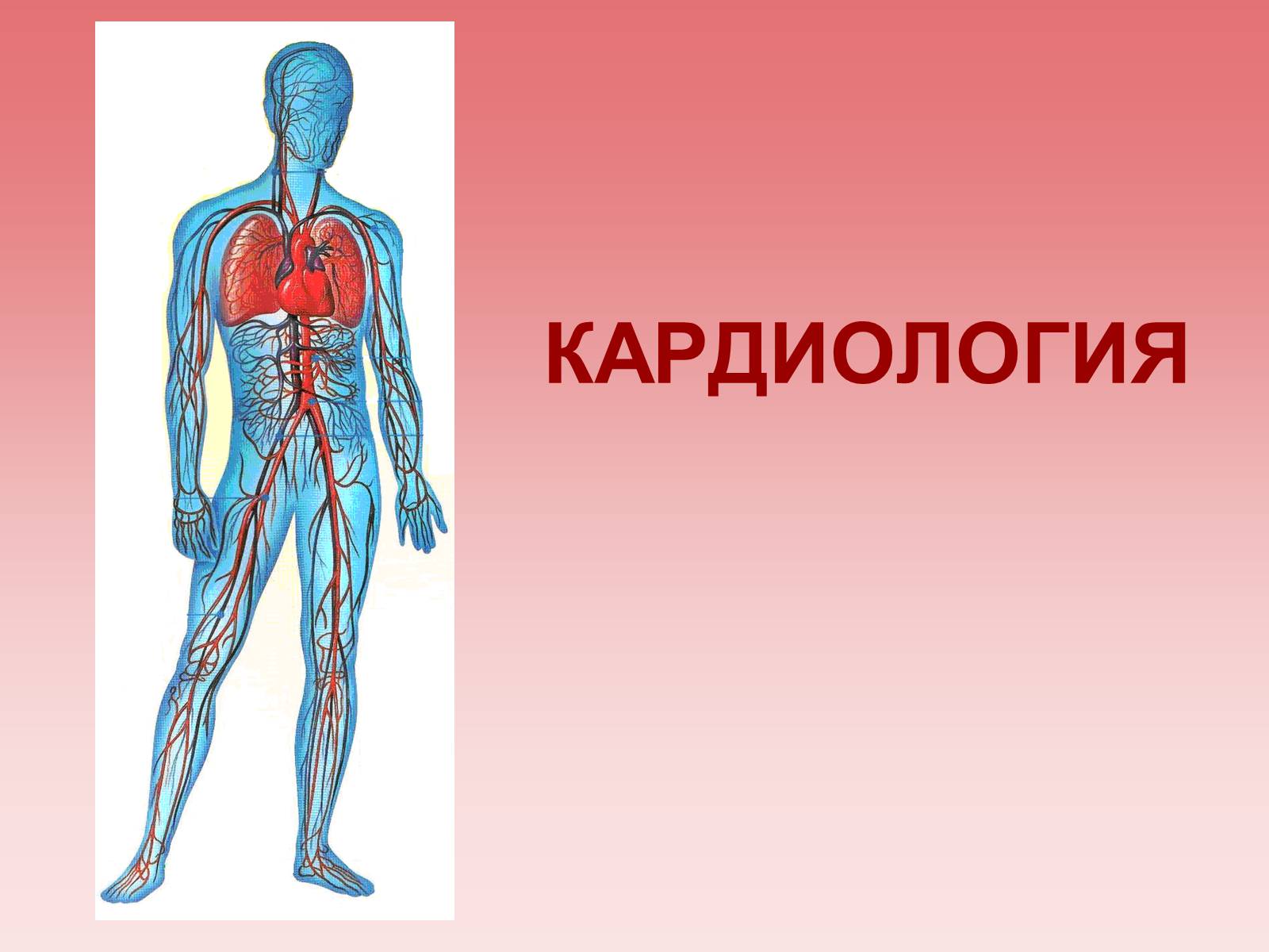 Презентація на тему «Кардиология» - Слайд #1 Презентація на тему «Кардиология» - Слайд #1
