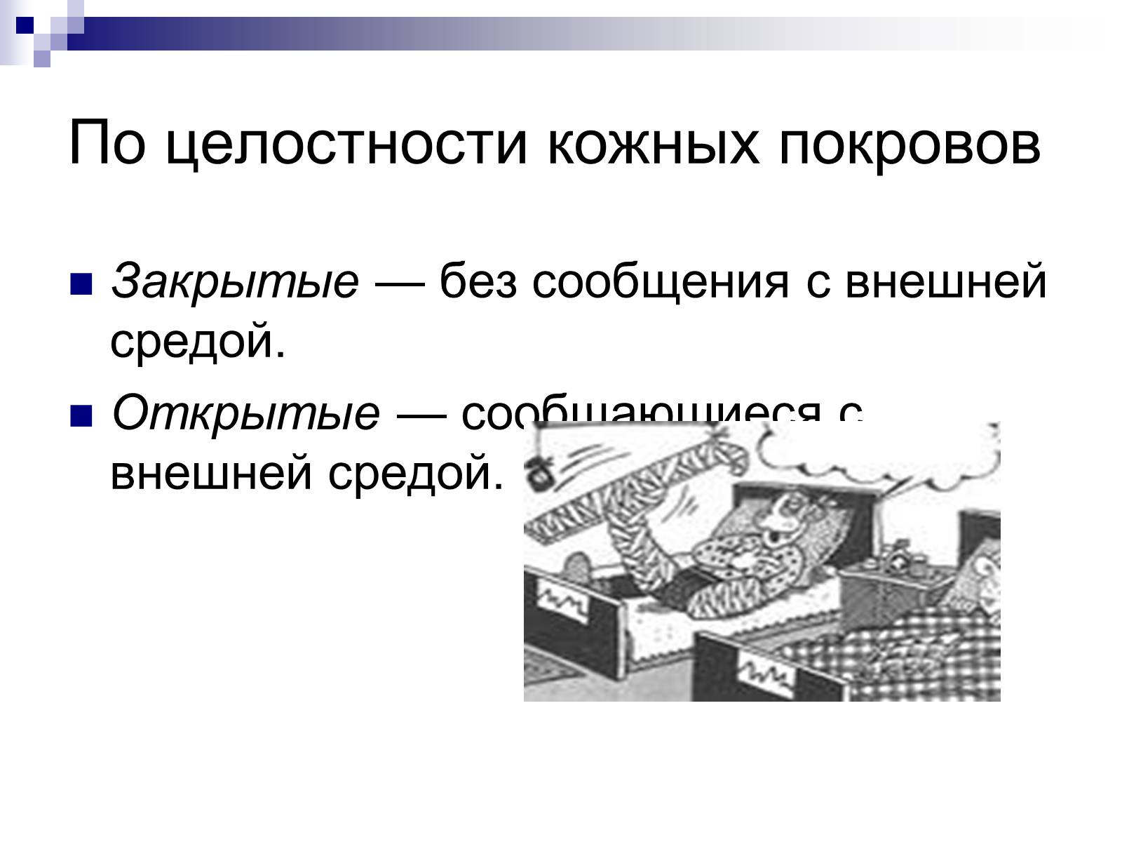 Презентація на тему «Первая помощь при переломах» (варіант 2) - Слайд #7 Презентація на тему «Первая помощь при переломах» (варіант 2) - Слайд #7