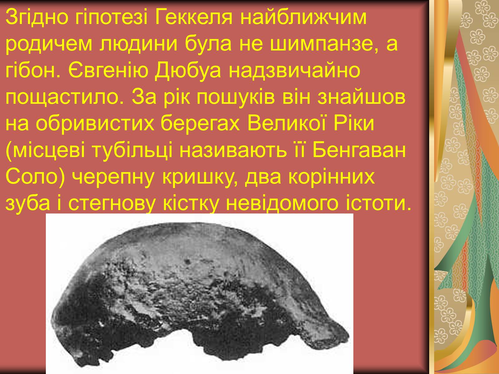 Презентація на тему «Людина прямоходяча» - Слайд #3 Презентація на тему «Людина прямоходяча» - Слайд #3