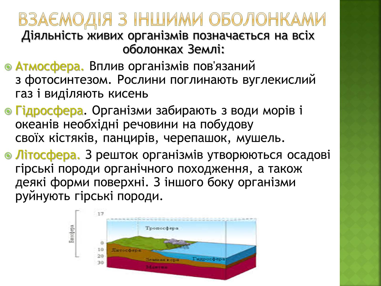Презентація на тему «Біосфера та її межі» - Слайд #8 Презентація на тему «Біосфера та її межі» - Слайд #8