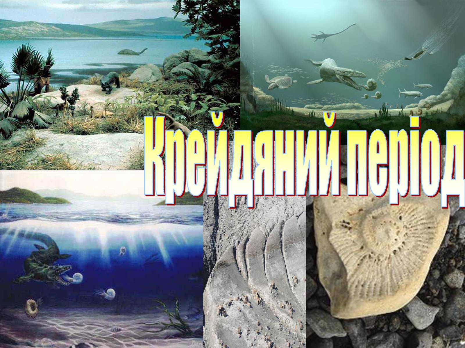 Презентація на тему «Мезозойська ера» (варіант 1) - Слайд #13 Презентація на тему «Мезозойська ера» (варіант 1) - Слайд #13