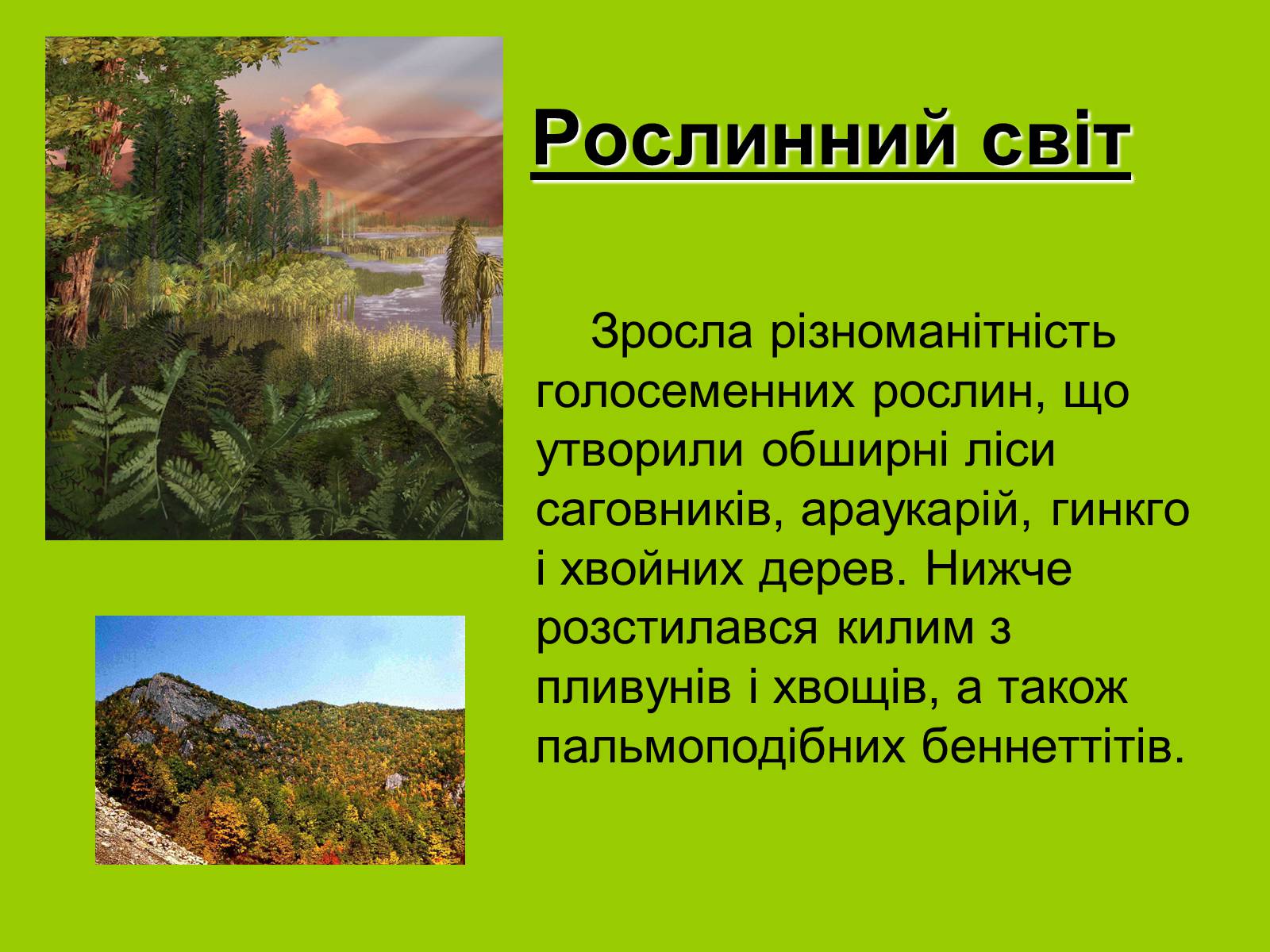 Презентація на тему «Мезозойська ера» (варіант 1) - Слайд #8 Презентація на тему «Мезозойська ера» (варіант 1) - Слайд #8