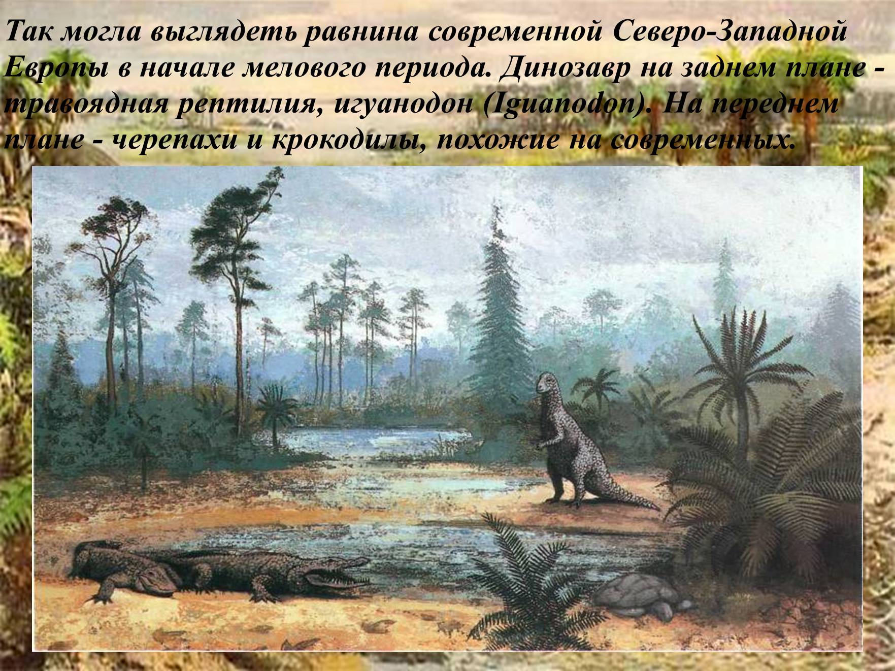 Презентація на тему «Мезозойська ера» (варіант 3) - Слайд #12 Презентація на тему «Мезозойська ера» (варіант 3) - Слайд #12