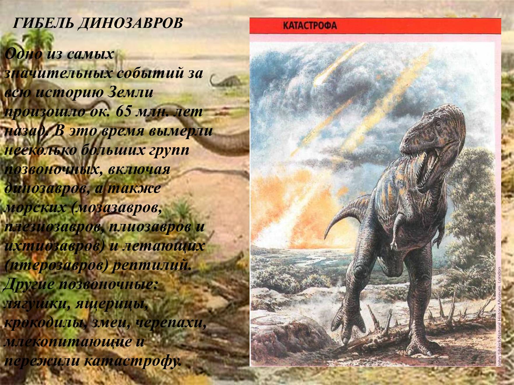 Презентація на тему «Мезозойська ера» (варіант 3) - Слайд #18 Презентація на тему «Мезозойська ера» (варіант 3) - Слайд #18