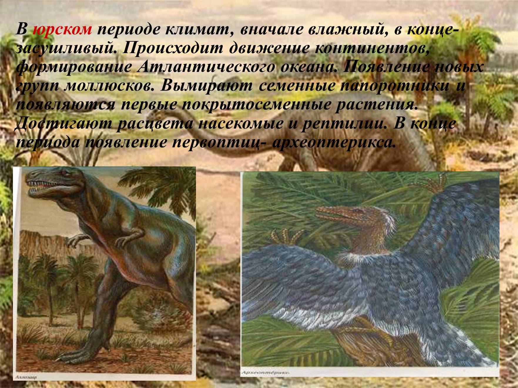 Презентація на тему «Мезозойська ера» (варіант 3) - Слайд #9 Презентація на тему «Мезозойська ера» (варіант 3) - Слайд #9