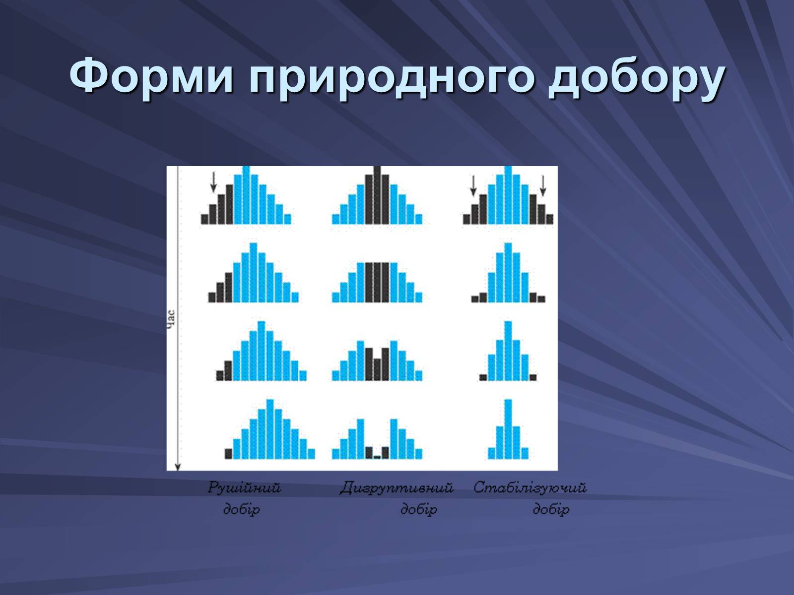 Презентація на тему «Основи еволюційного вчення» - Слайд #7 Презентація на тему «Основи еволюційного вчення» - Слайд #7
