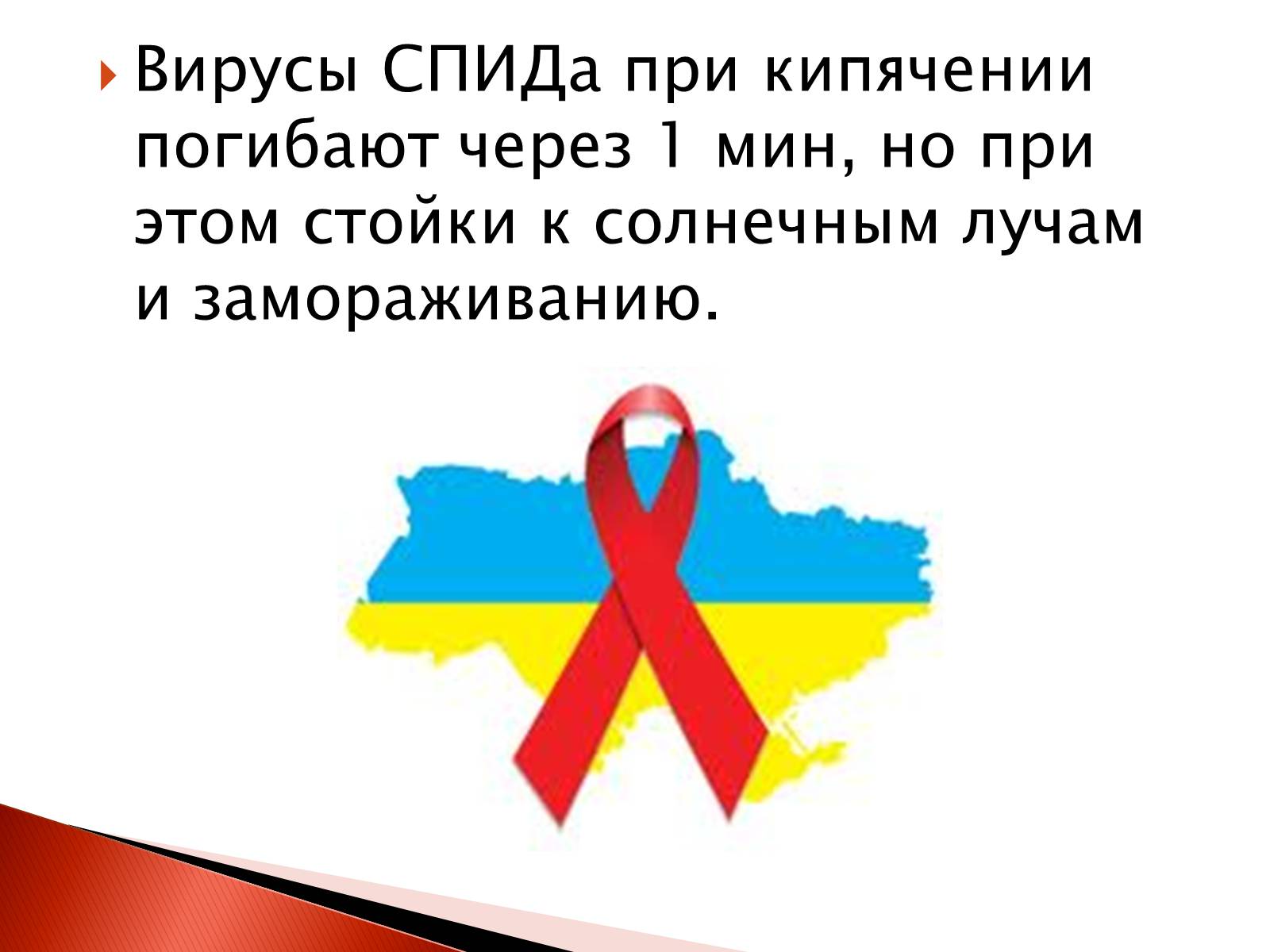 Презентація на тему «СПИД» - Слайд #13 Презентація на тему «СПИД» - Слайд #13