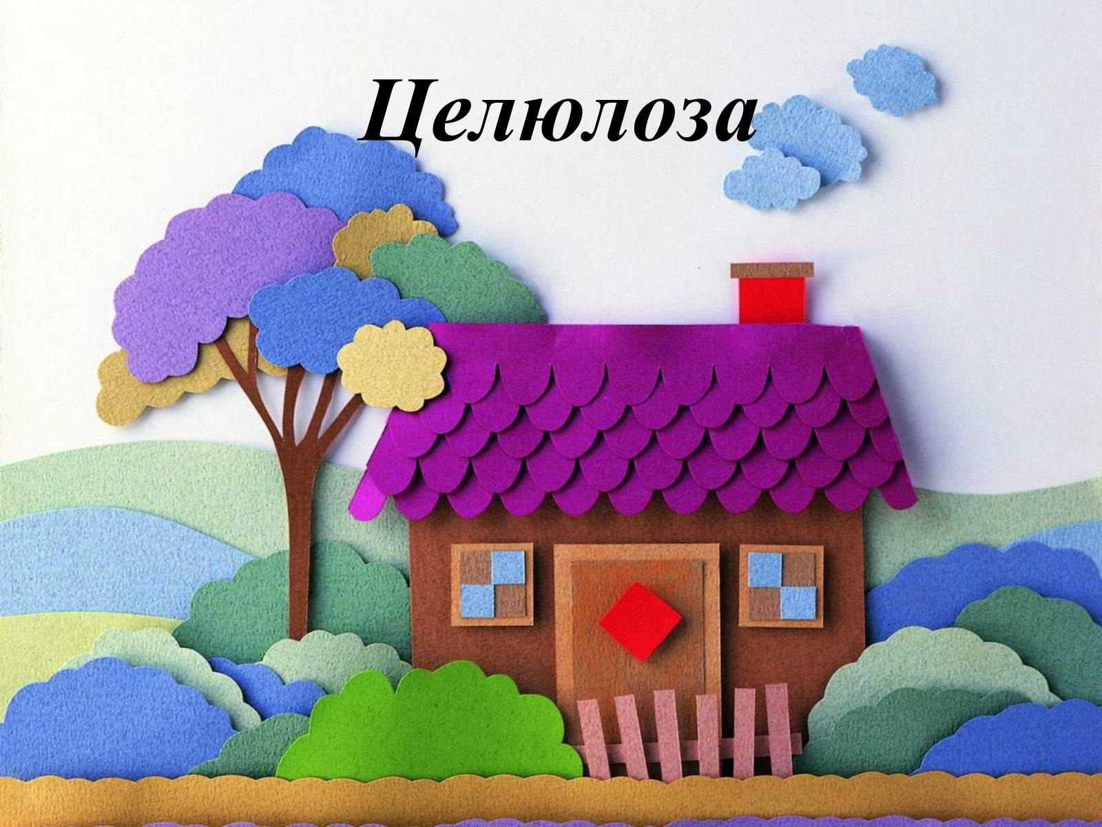 Презентація на тему «Целюлоза» - Слайд #1 Презентація на тему «Целюлоза» - Слайд #1