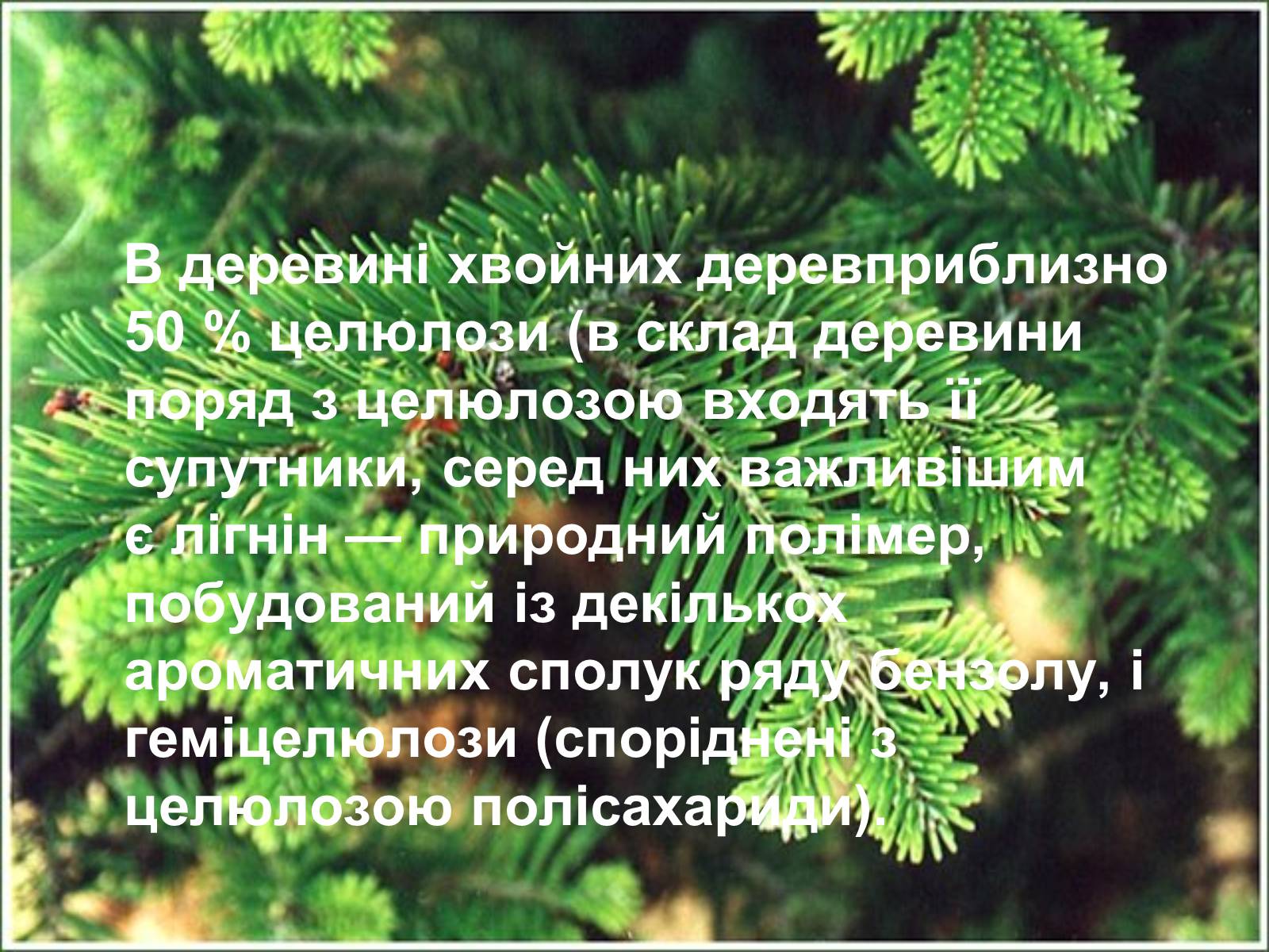 Презентація на тему «Целюлоза» - Слайд #3 Презентація на тему «Целюлоза» - Слайд #3
