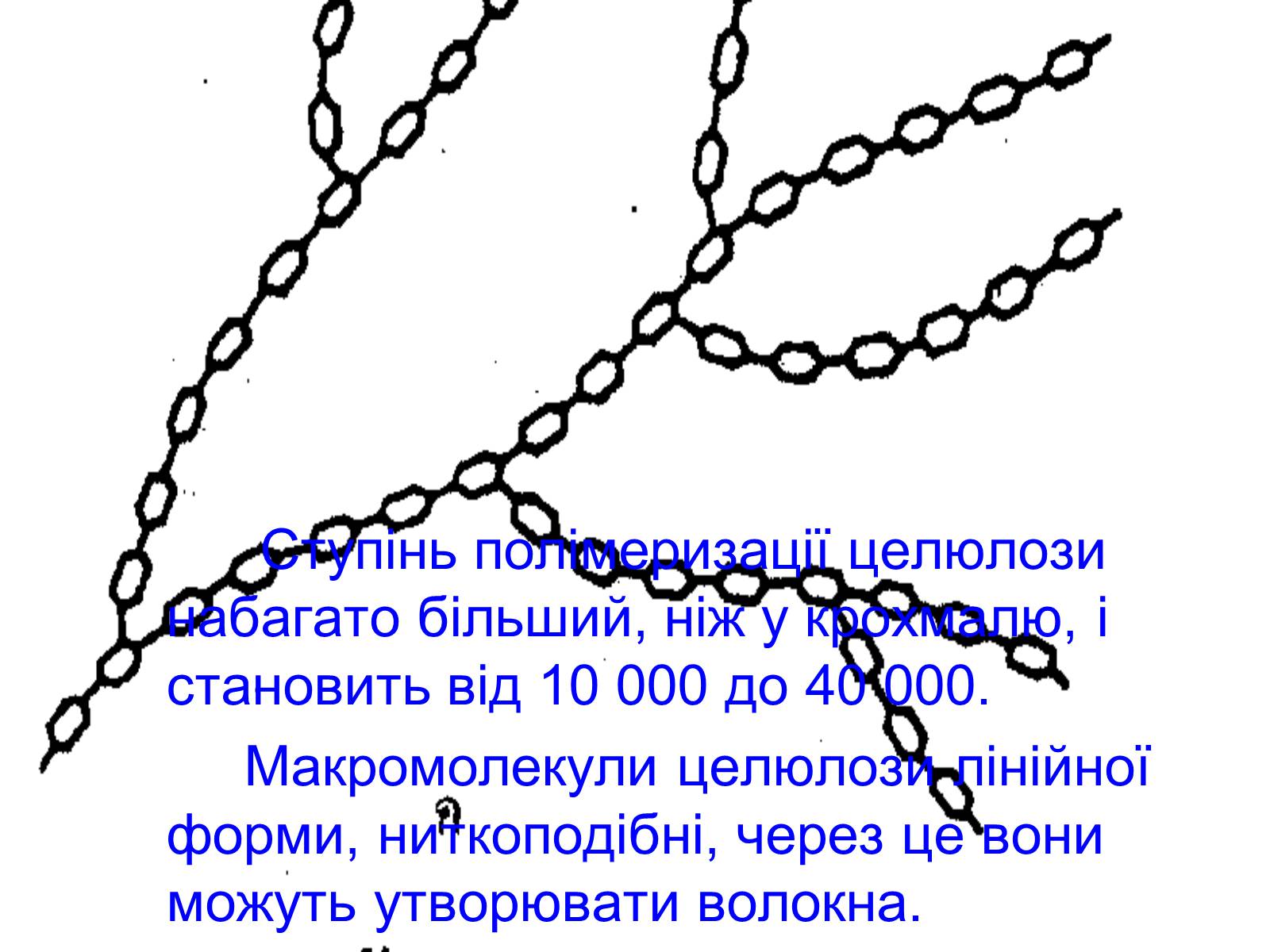 Презентація на тему «Целюлоза» - Слайд #4 Презентація на тему «Целюлоза» - Слайд #4