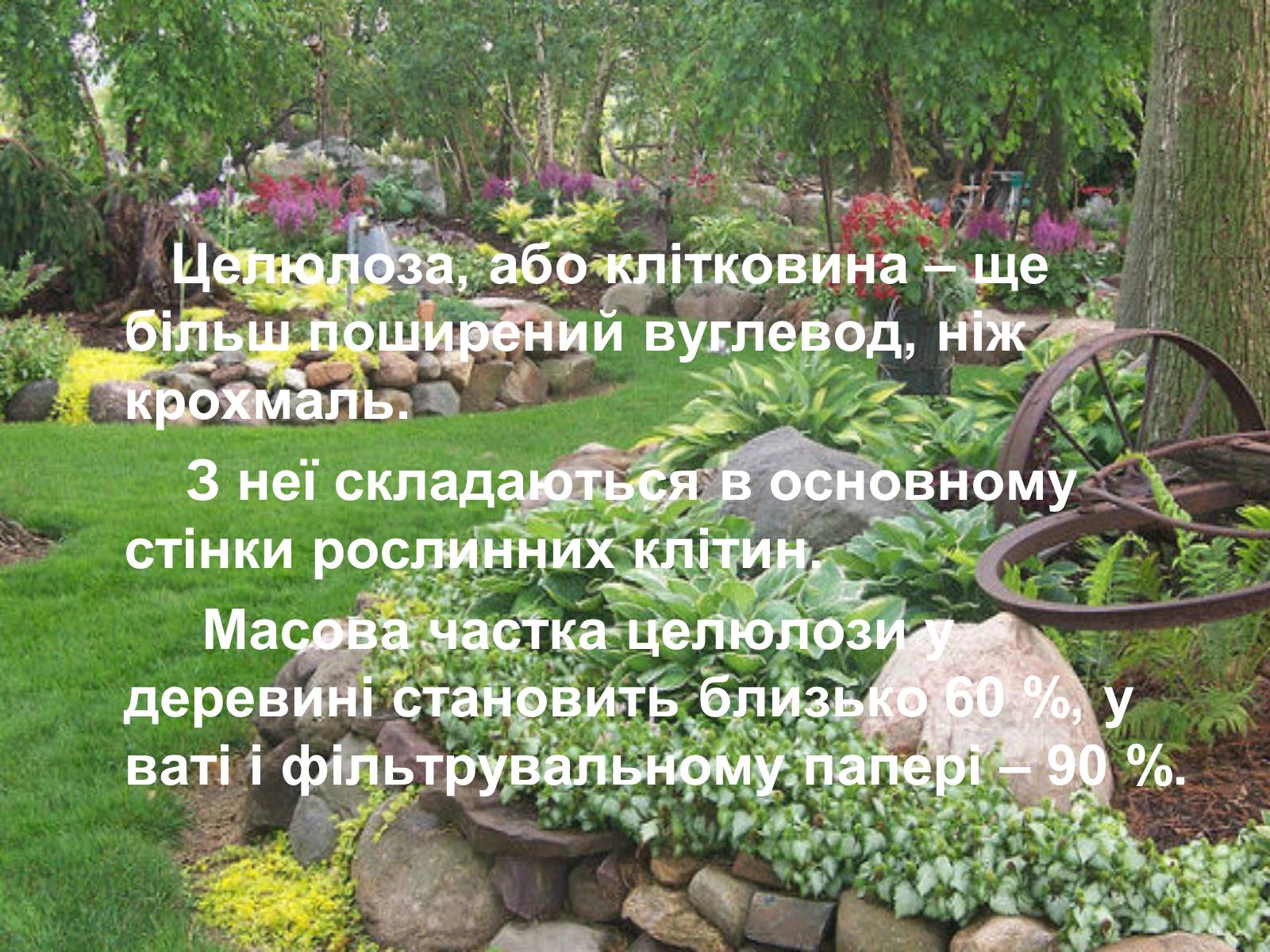 Презентація на тему «Целюлоза» - Слайд #6 Презентація на тему «Целюлоза» - Слайд #6