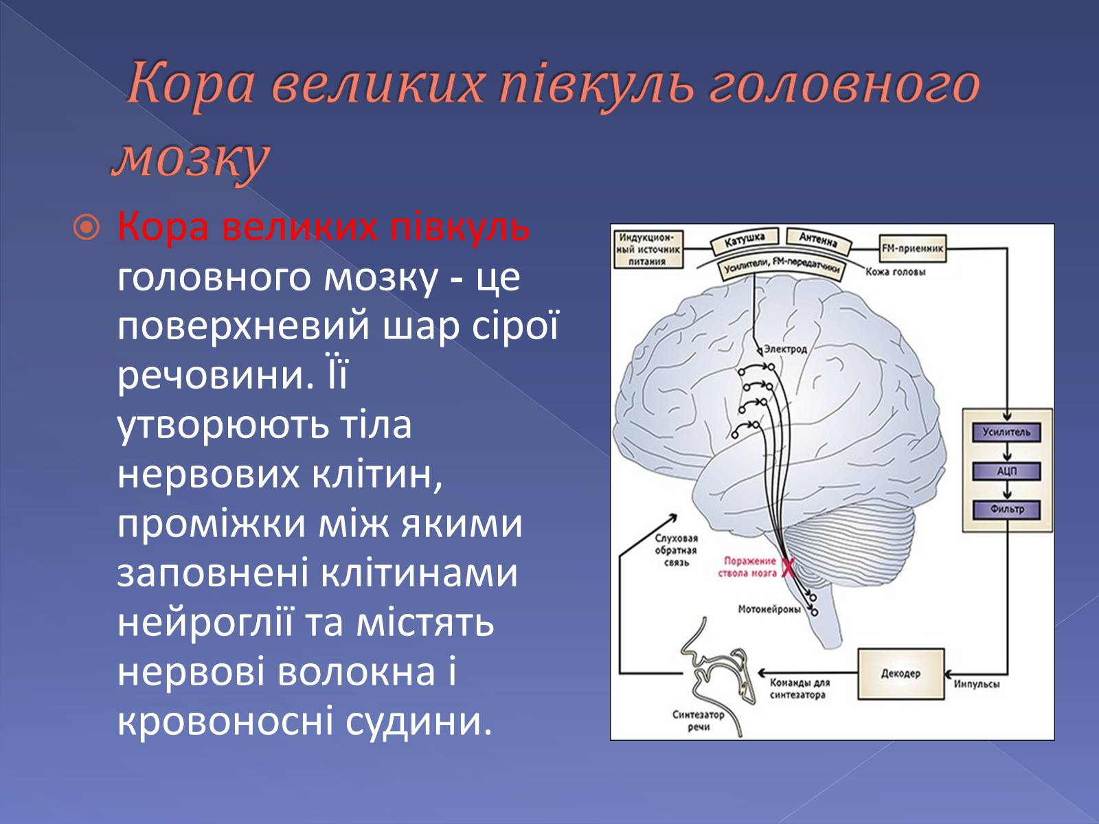 Презентація на тему «Мислення і cвідомість людини» - Слайд #2 Презентація на тему «Мислення і cвідомість людини» - Слайд #2