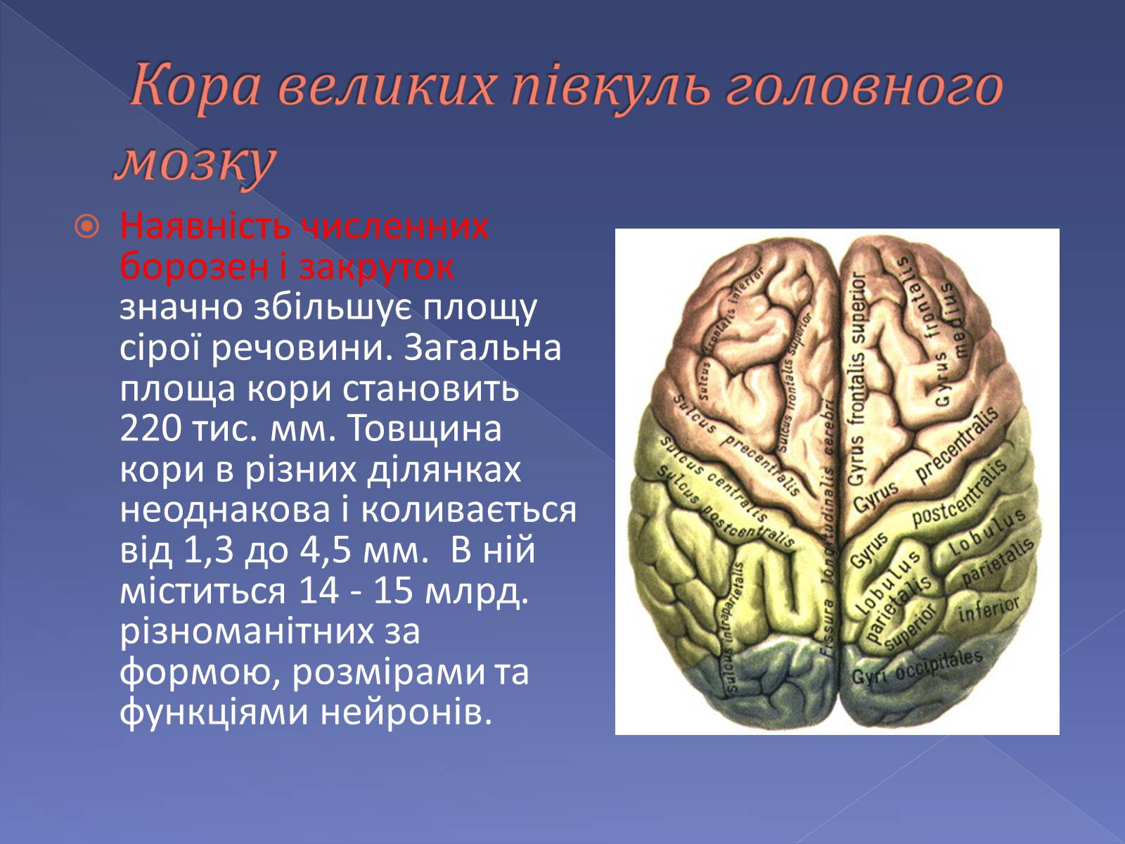 Презентація на тему «Мислення і cвідомість людини» - Слайд #3 Презентація на тему «Мислення і cвідомість людини» - Слайд #3