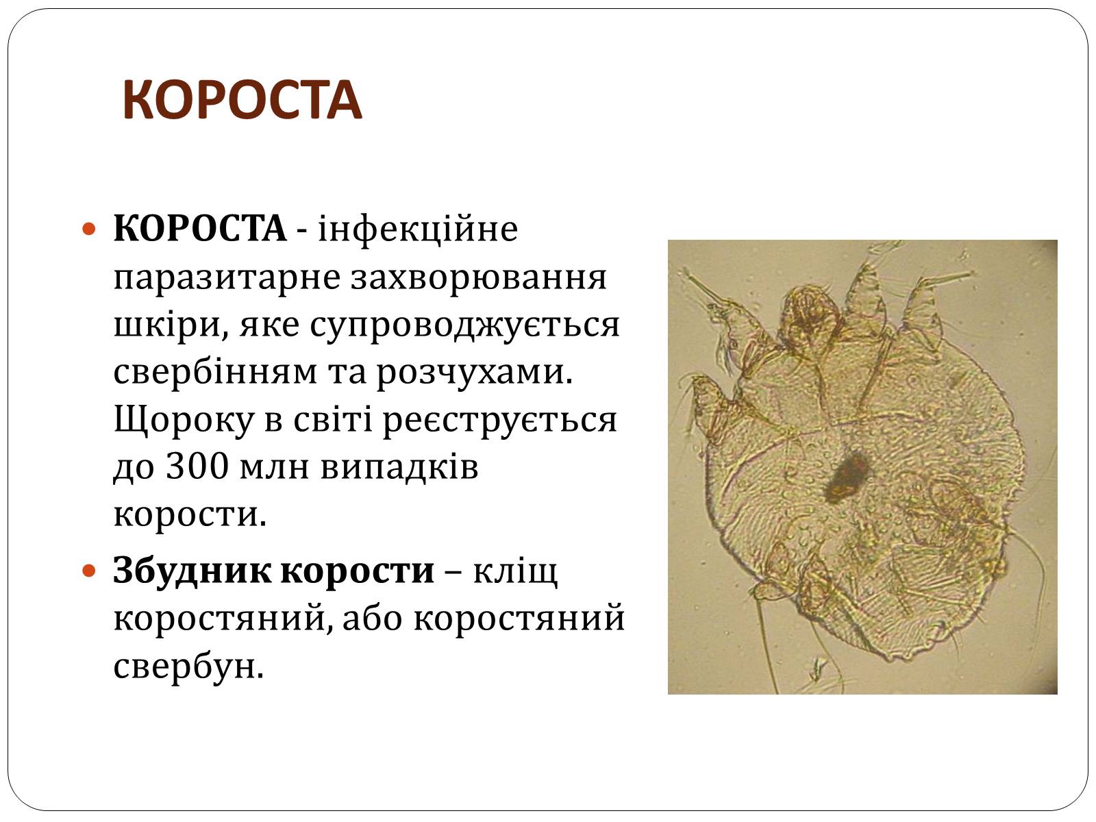 Презентація на тему «Захворювання шкіри» (варіант 3) - Слайд #7 Презентація на тему «Захворювання шкіри» (варіант 3) - Слайд #7