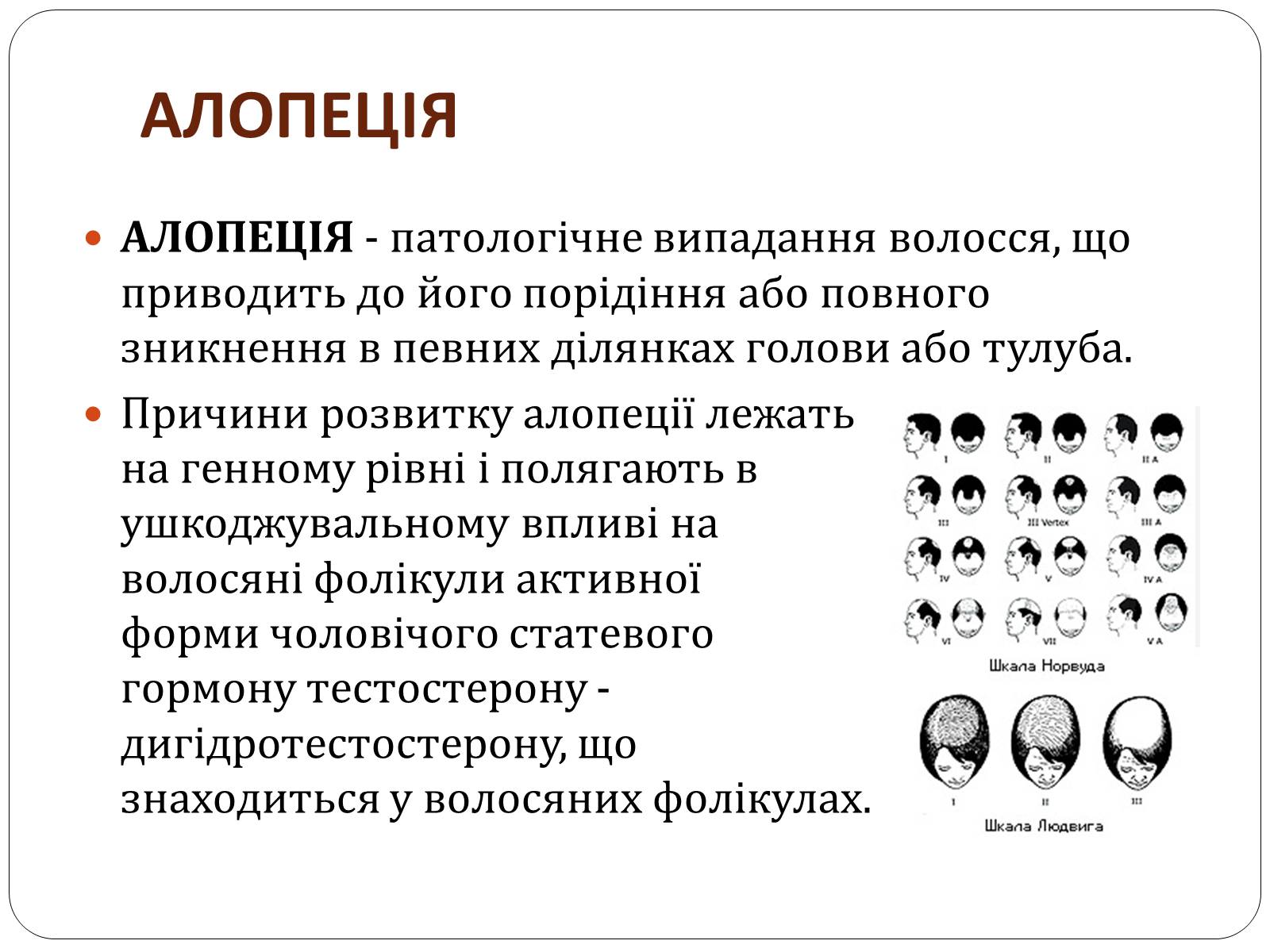 Презентація на тему «Захворювання шкіри» (варіант 3) - Слайд #9 Презентація на тему «Захворювання шкіри» (варіант 3) - Слайд #9