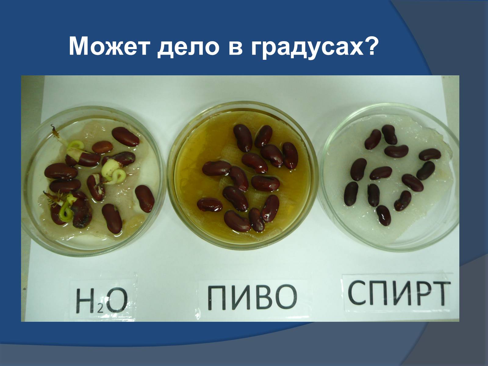 Презентація на тему «Осторожно – пиво!» - Слайд #36 Презентація на тему «Осторожно – пиво!» - Слайд #36
