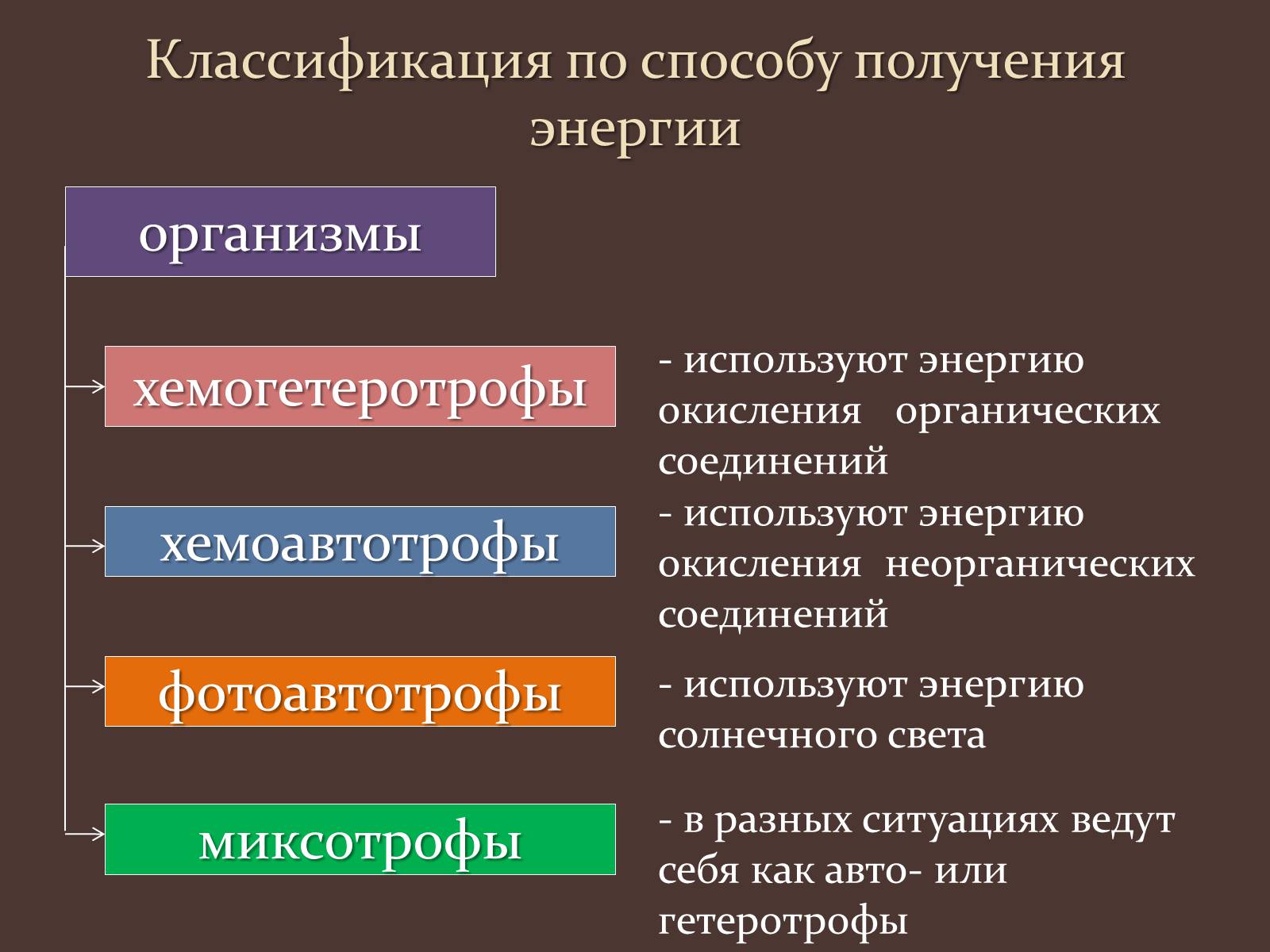 Презентація на тему «Метаболизм клетки» - Слайд #7